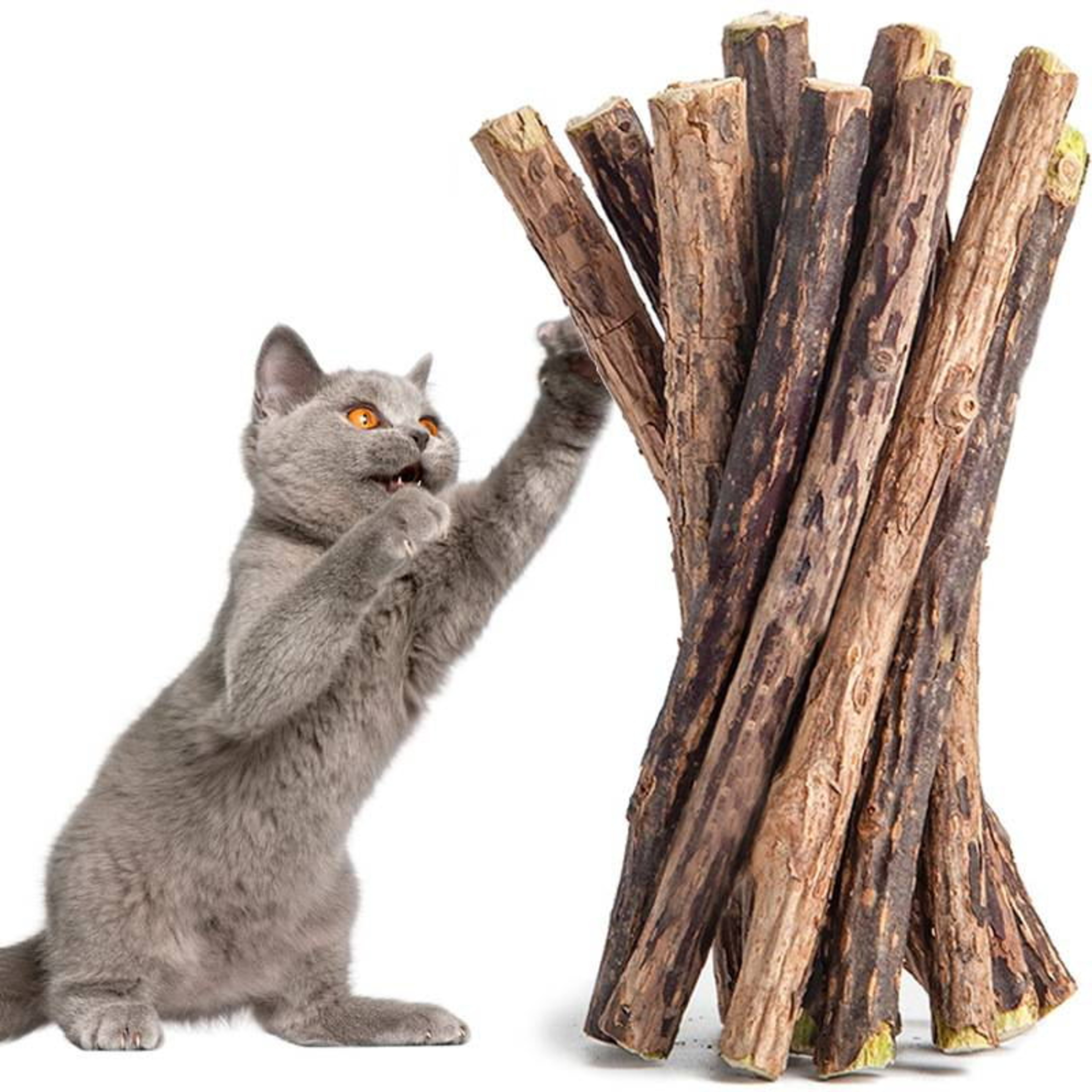 7X1cCatMolarStickCleaningTeethNaturalCatnipPetCatMolarToothpasteStickCatSnacksSticksP
