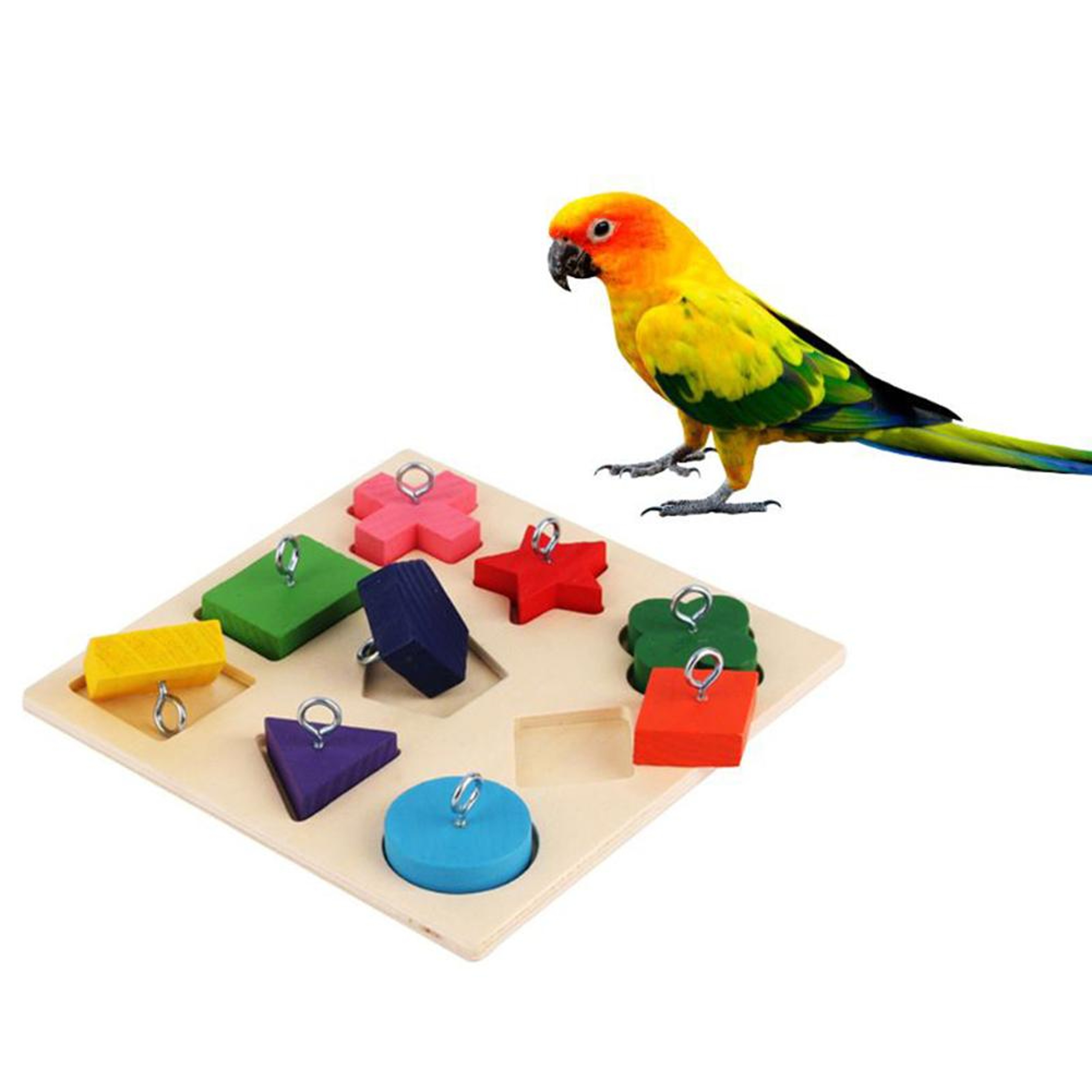 dDyfParrotIqTrainingToys9GridColorfulWoodenBlockSafeTastelessPetEducationalToysBirdTo