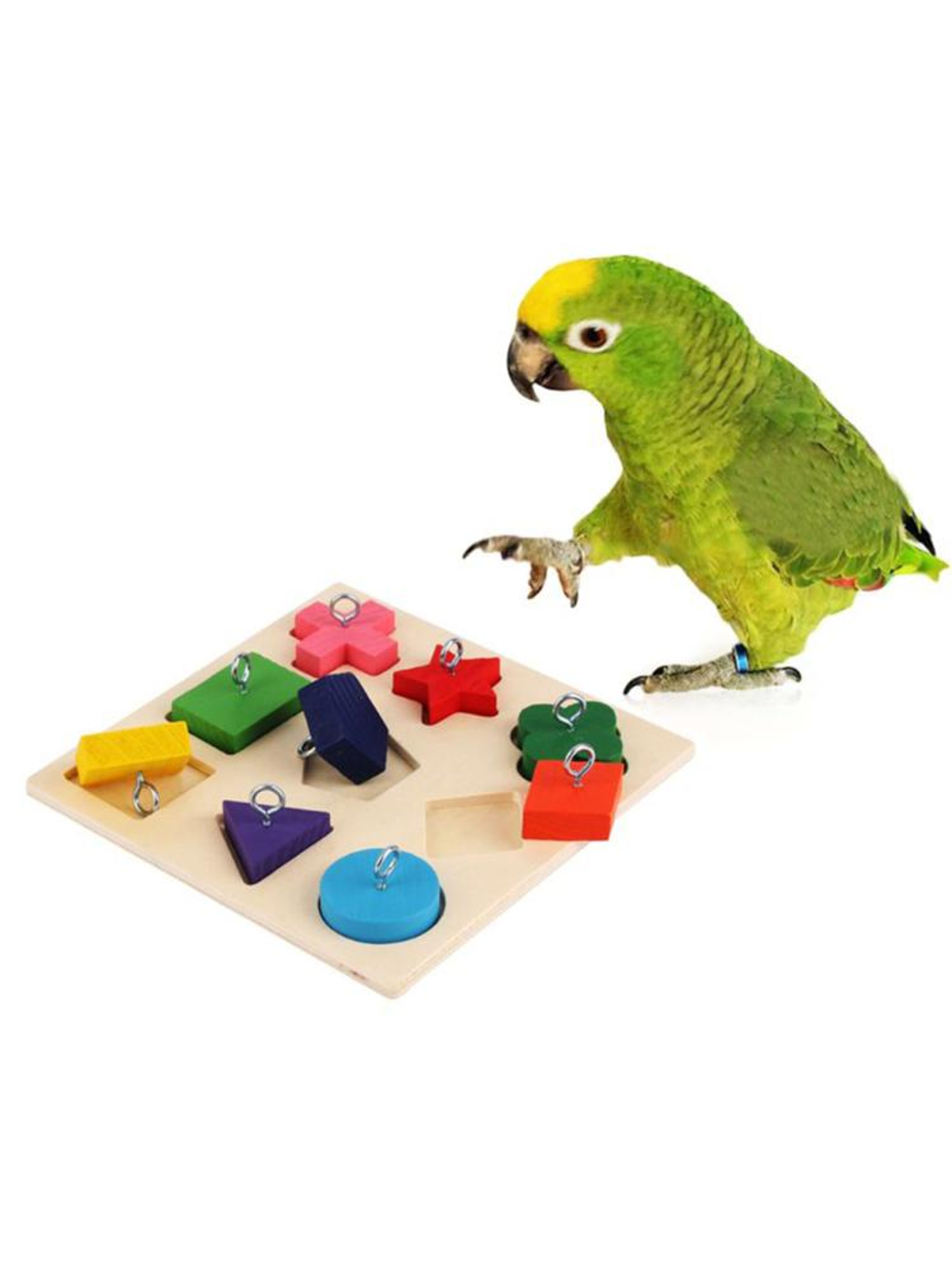 TTKcParrotIqTrainingToys9GridColorfulWoodenBlockSafeTastelessPetEducationalToysBirdTo