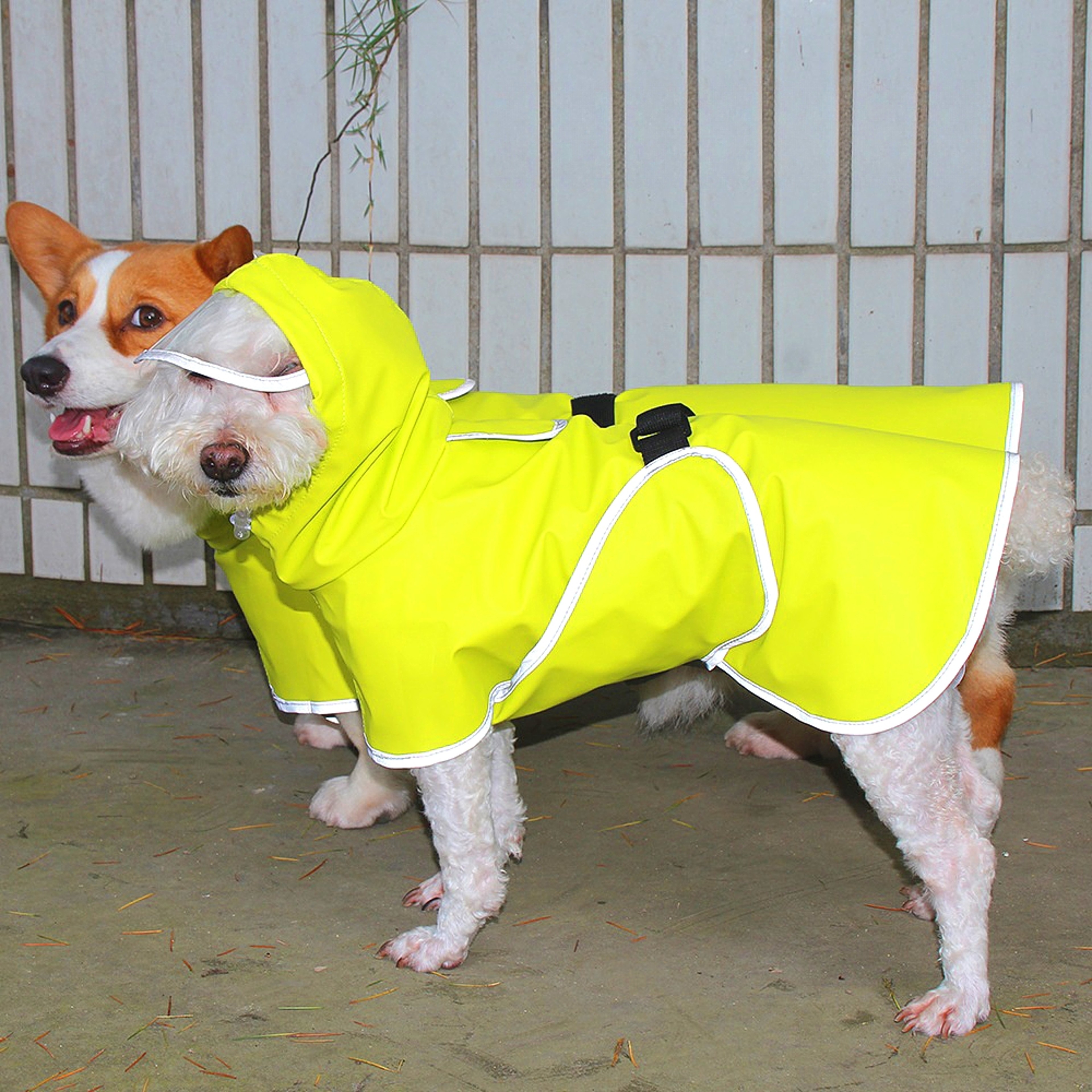 x7FpSmall-Medium-Large-Dog-raincoat-All-Inclusive-Corgi-Teddy-Law-Cloak-Rain-Cloak-Large-Dog-Clothes.jpg