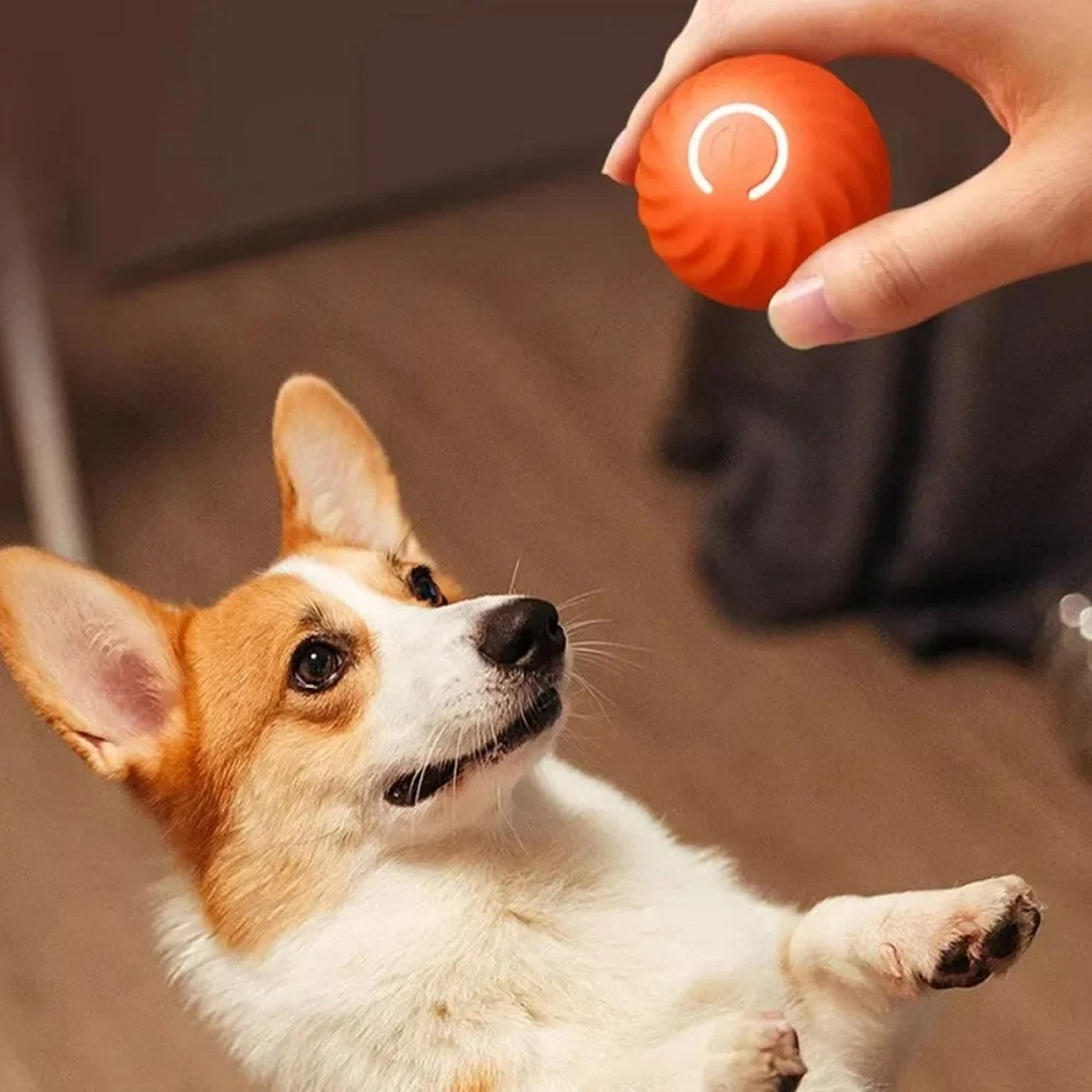 Dog Ball Toy USB Rechargeable Automatic Rolling  Bouncing Dog Toy 3