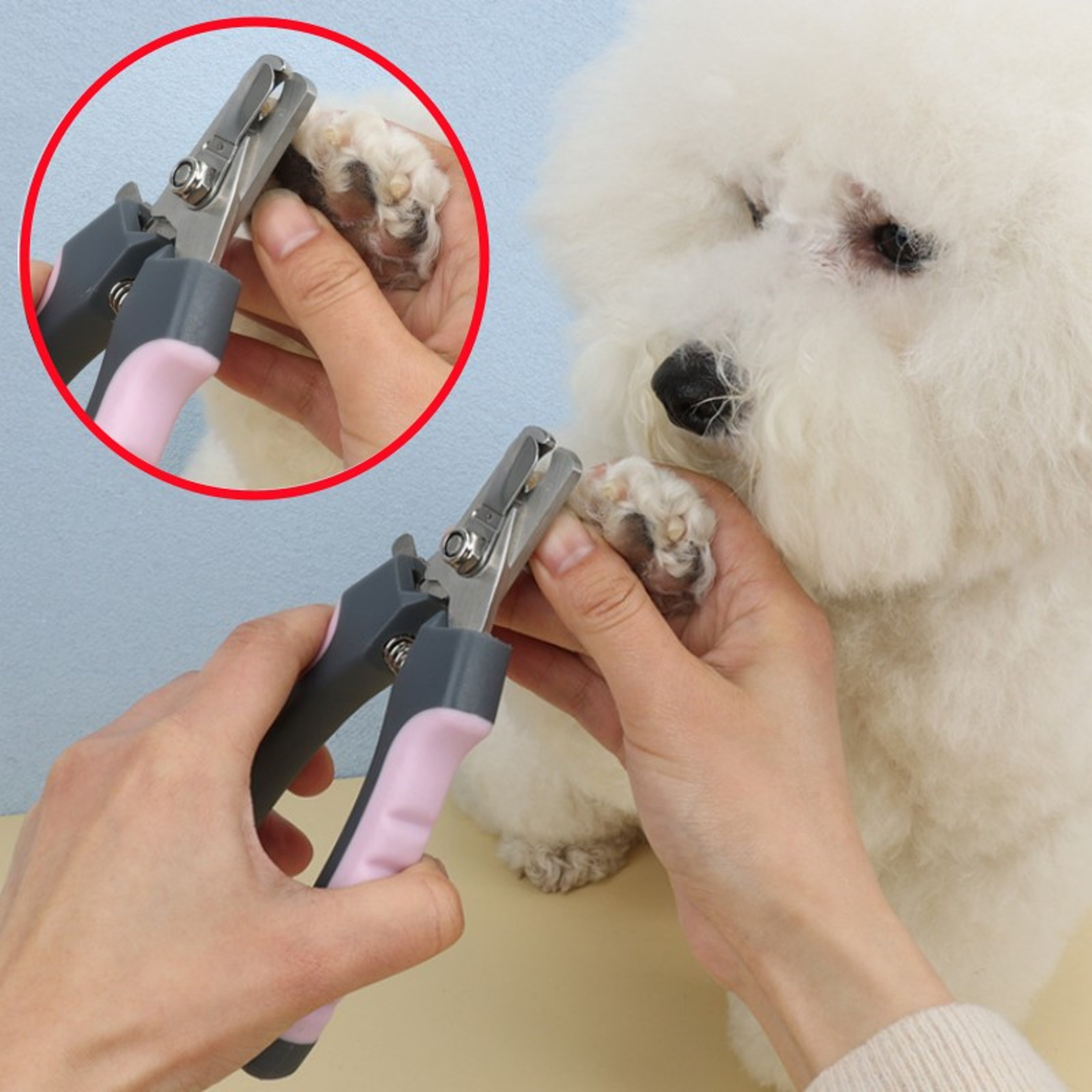 Professional Stainless Steel Pet Nail Clippers for Dogs & Cats Precision Grooming Trimmer – view 1