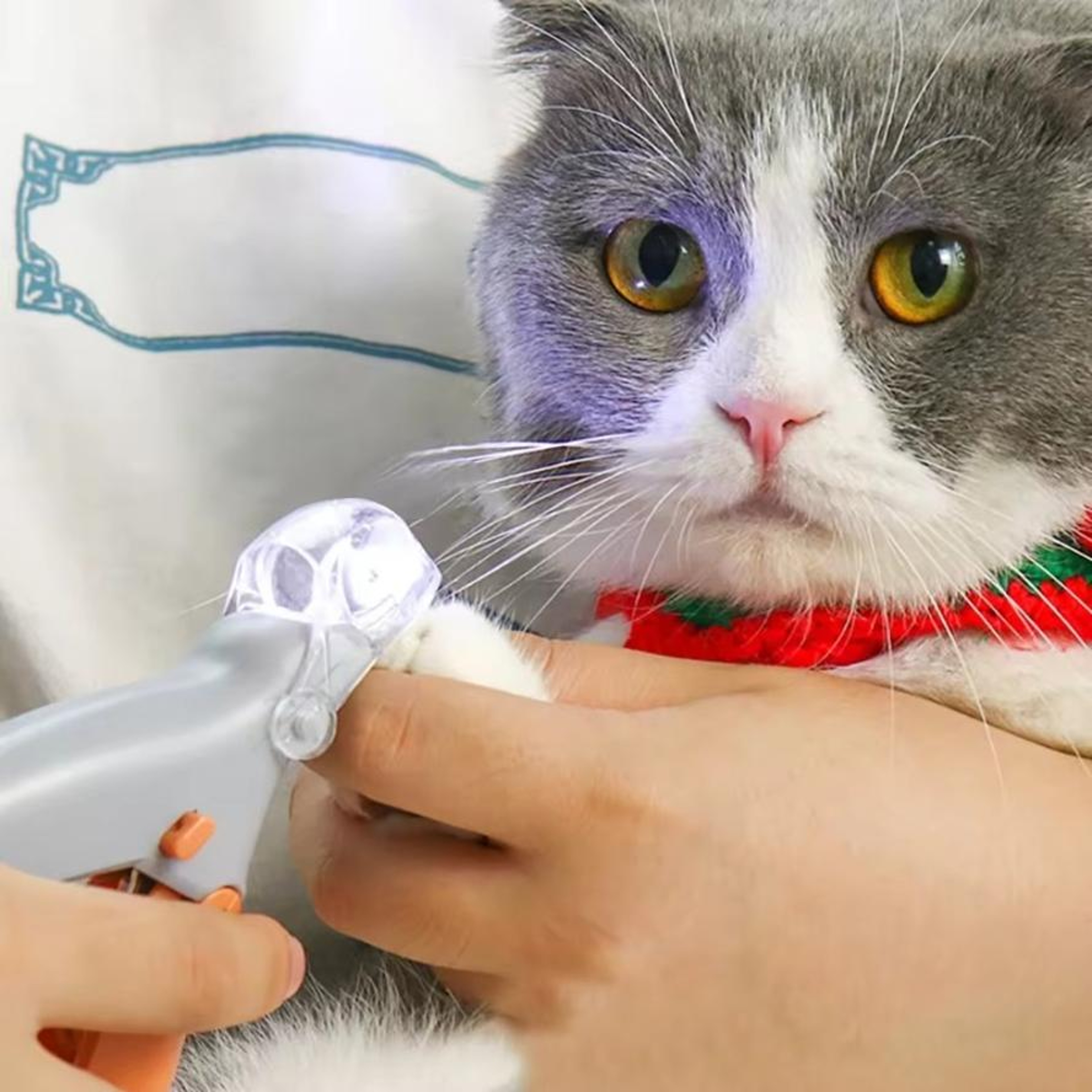Professional LED Pet Nail Clipper and Safe Claw Trimmer – view 1