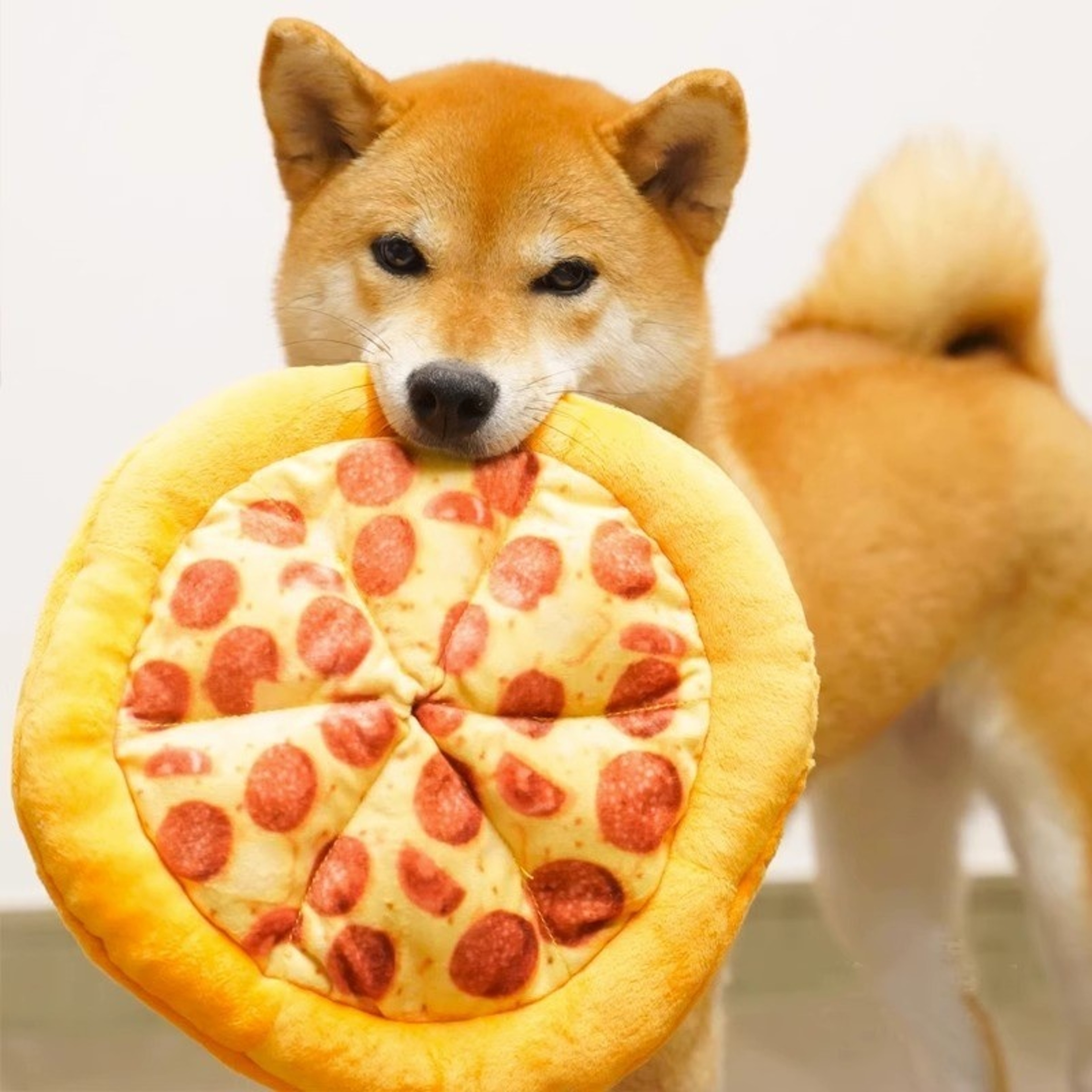 Plush Pizza Squeaky Dog Toy Interactive Chew & Teeth Cleaning Fun – view 3