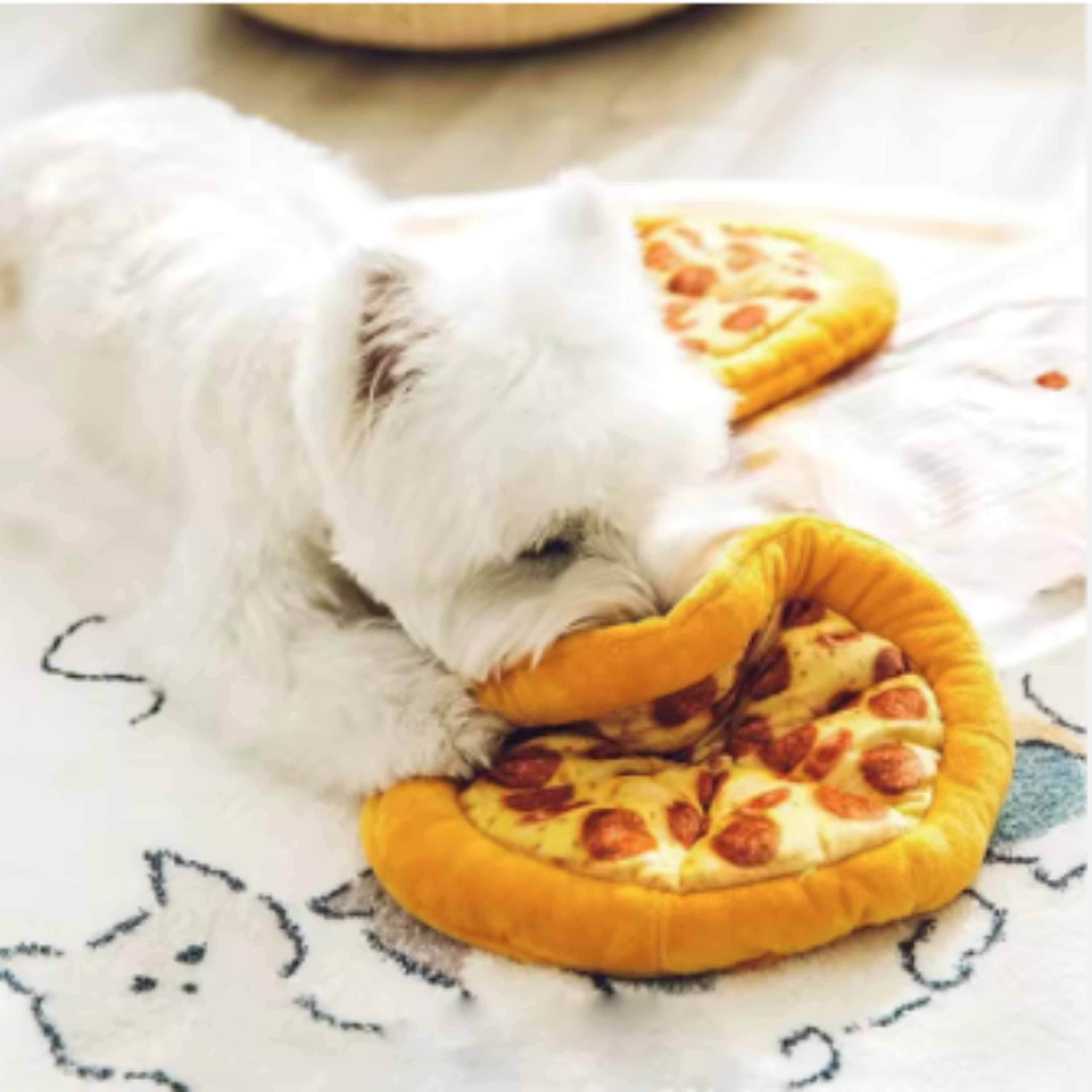 Plush Pizza Squeaky Dog Toy Interactive Chew & Teeth Cleaning Fun – view 6