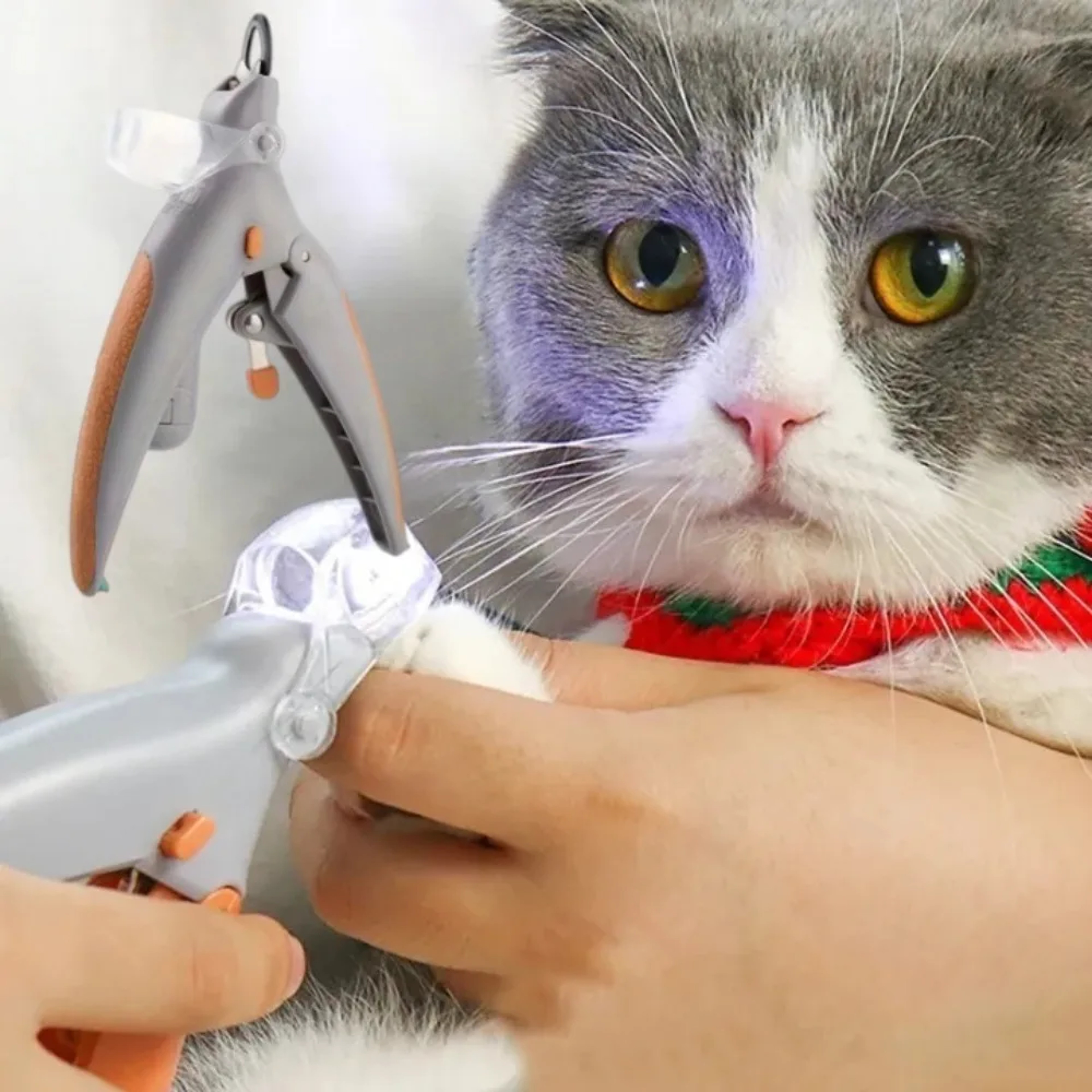 BrightPaw LED Pet Nail Clipper Safe Grooming Trimmer for Cats & Dogs – view 1
