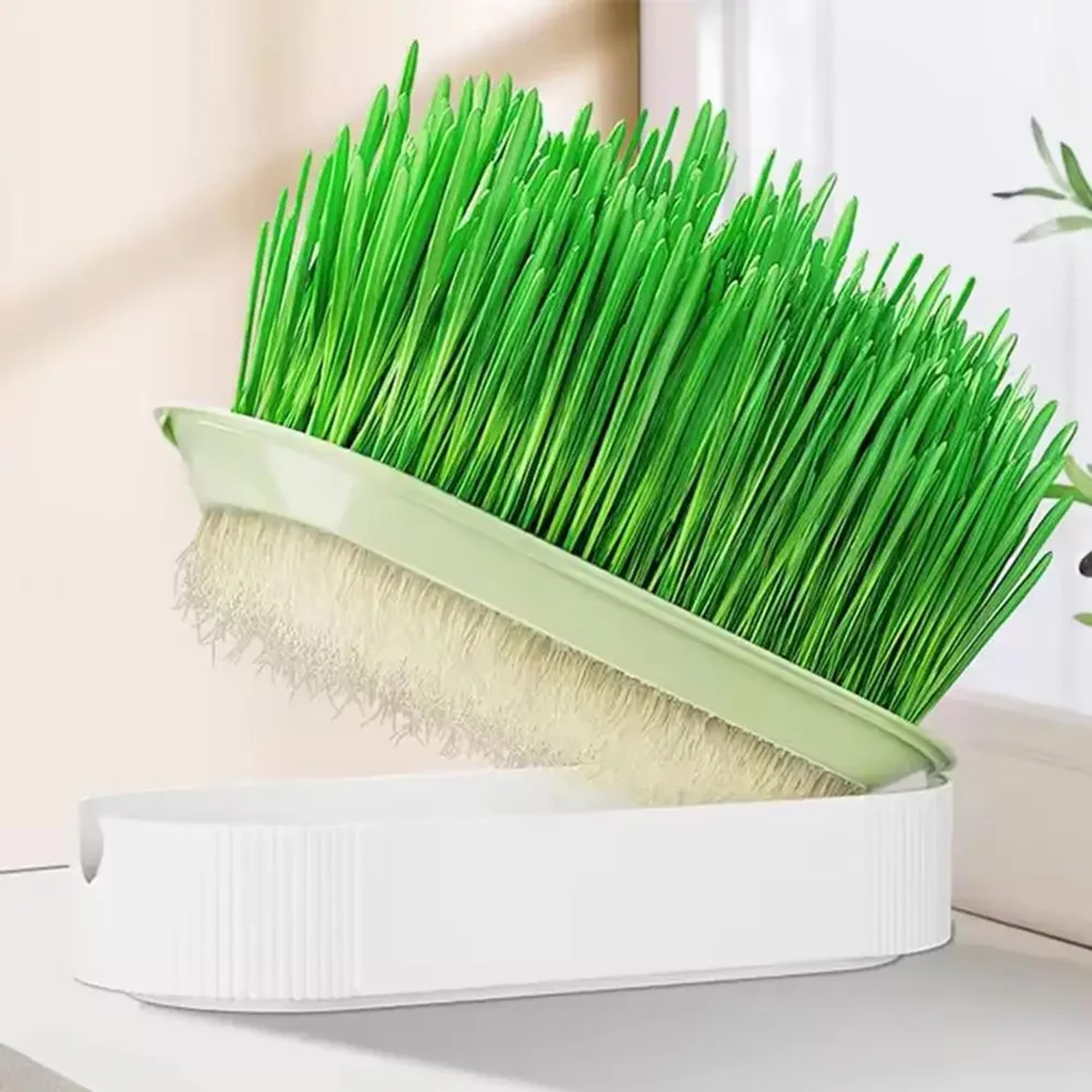 HydroGrow Cat Grass Planter Kit Soil-Free Cat Grass Kit for Healthy Digestion & Indoor Cats – view 5