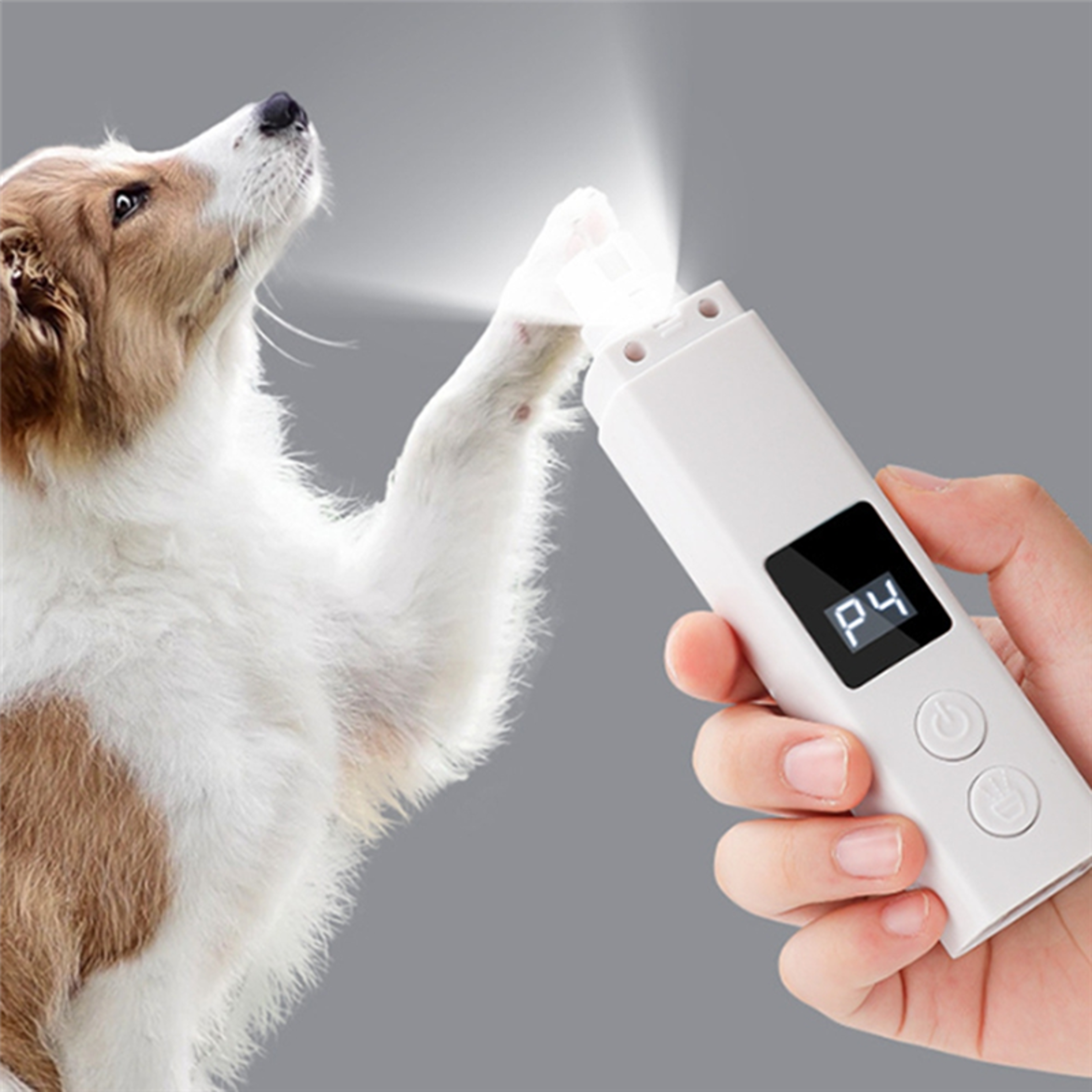 Pro Rechargeable Pet Nail Grinder for Dogs & Cats – view 5
