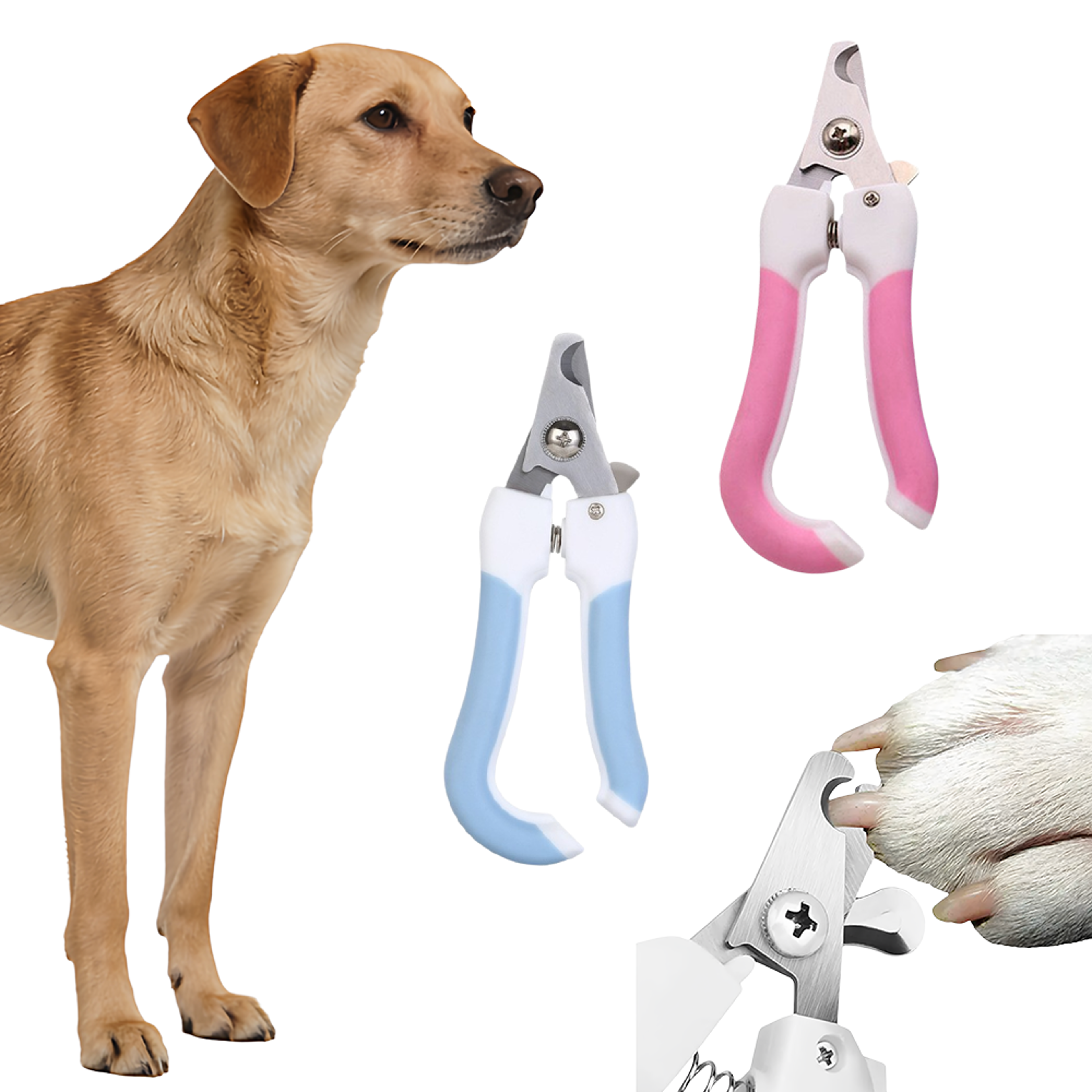 Pet Nail Clipper for Dogs & Cats Stainless Steel Dog Nail Clipper for Safe Home Grooming – view 1