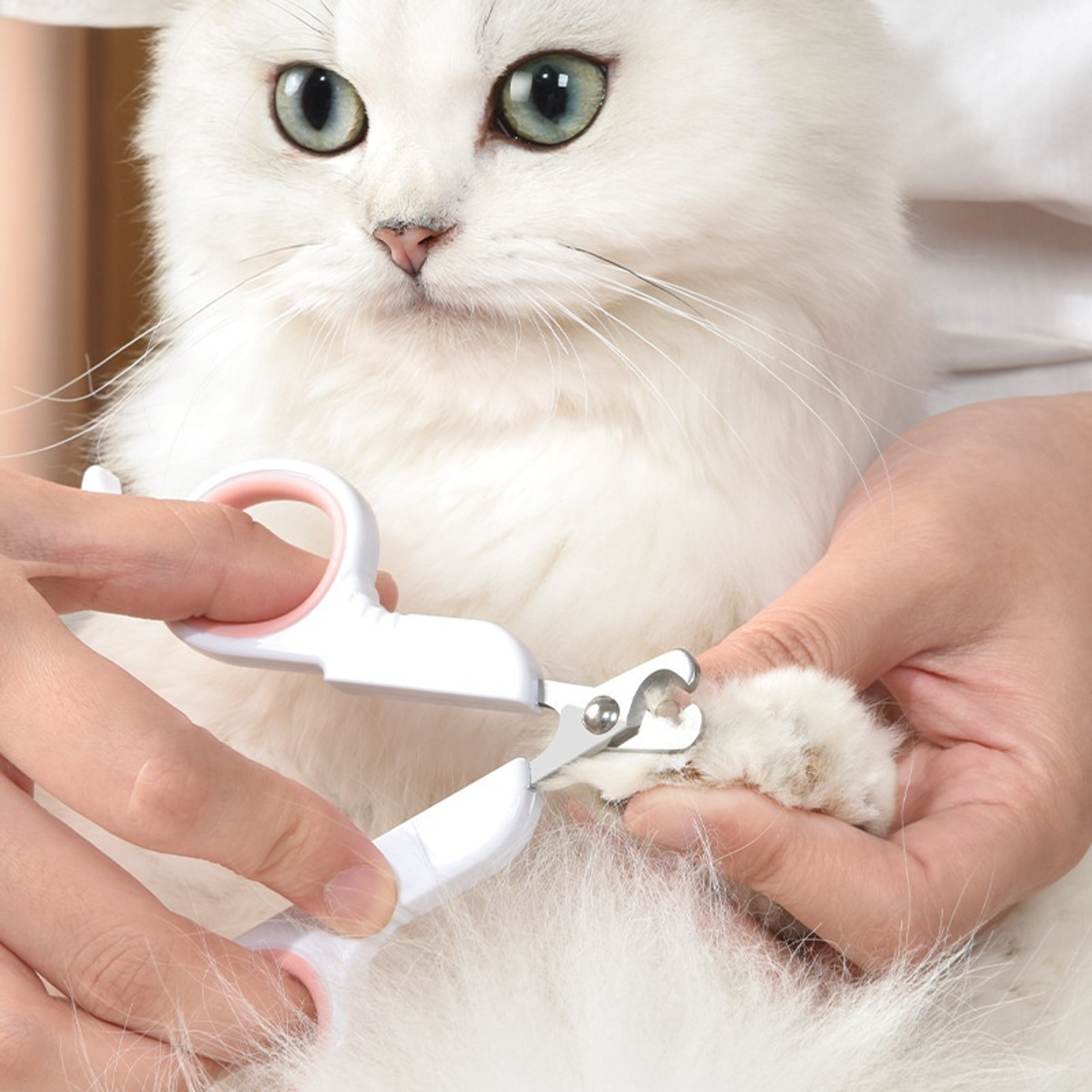 Pet Nail Clippers For Dogs  Cats Safe Precision Grooming Trimmer 1
