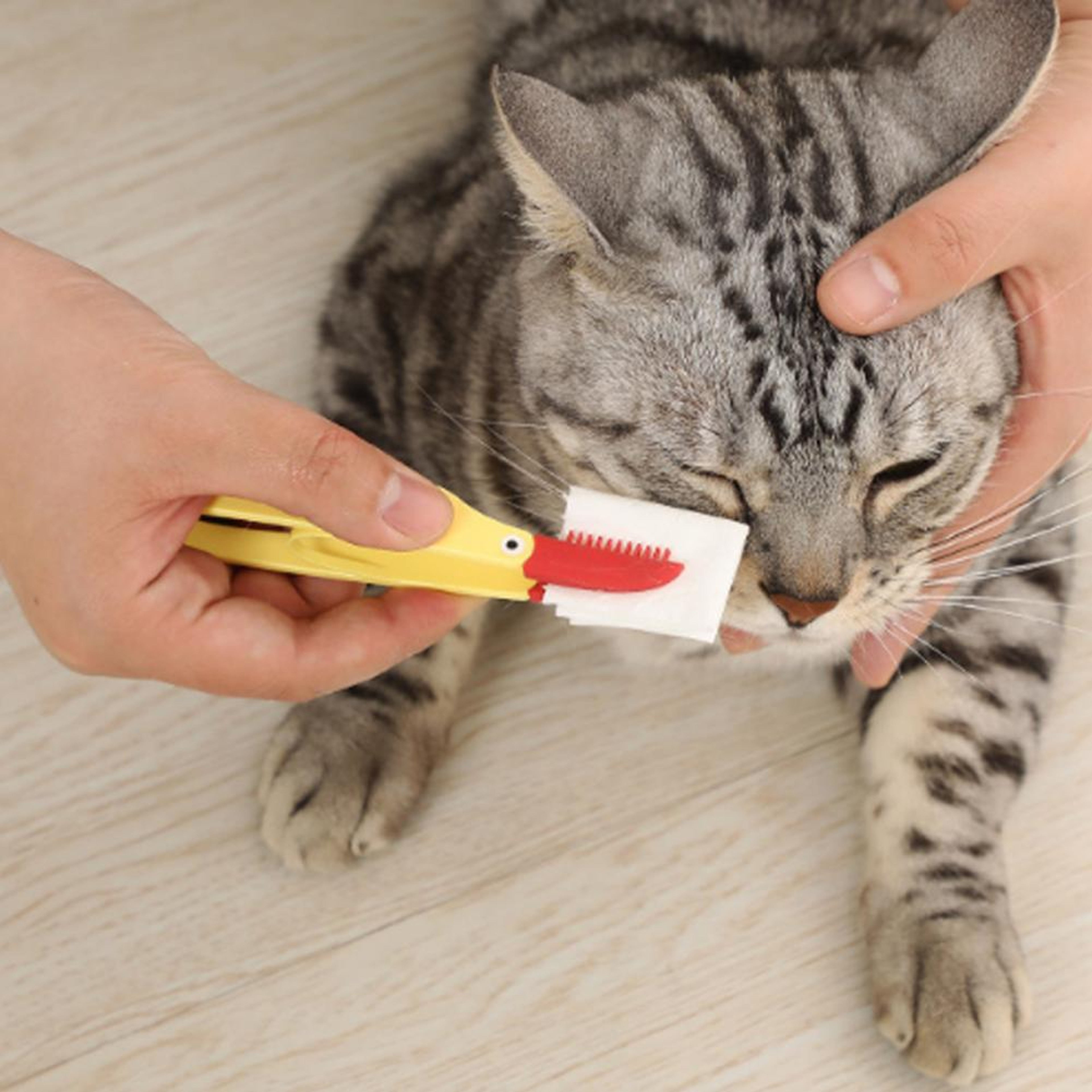 Gentle Pet Eye Care Brush & Tear Stain Remover Tool for Dogs & Cats Soft Silicone Eye Cleaning Brush – view 3
