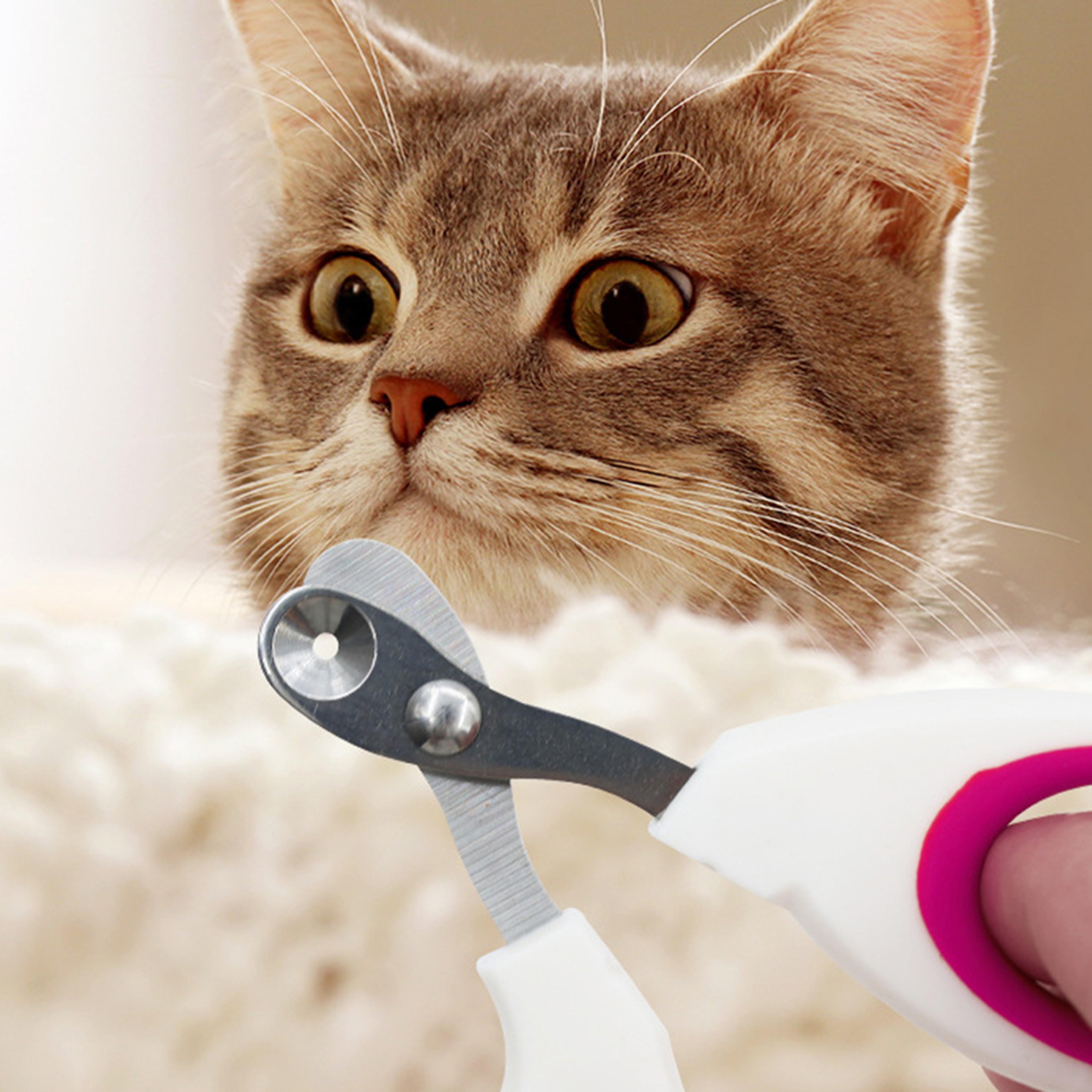 Premium Small Pet Grooming Nail Clippers Precision Cat Nail Clippers & Pet Nail Trimmer for Small Cats & Kittens – view 2