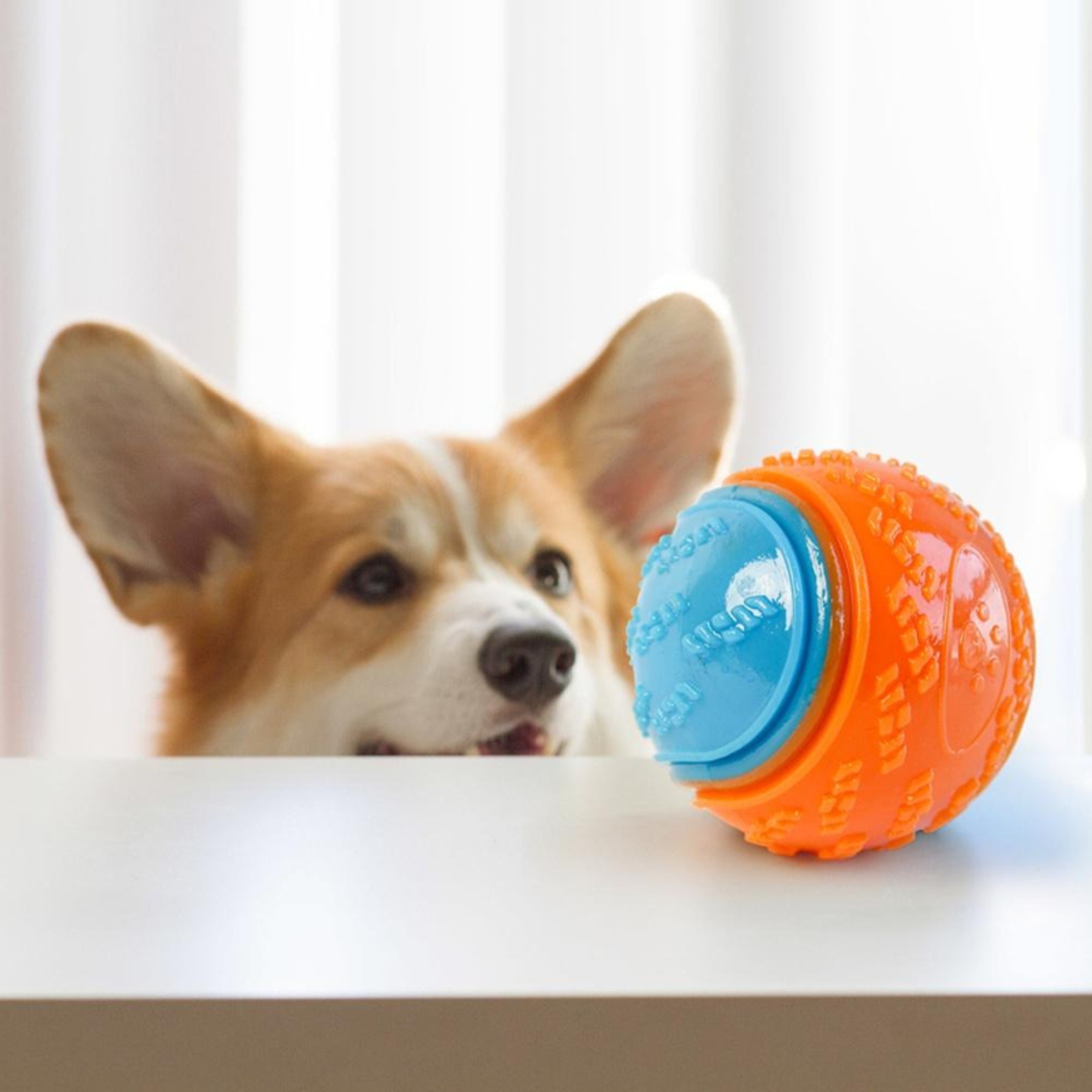 Interactive Squeaky Dog Chew Ball for Teeth Cleaning & Puppy Training – view 2