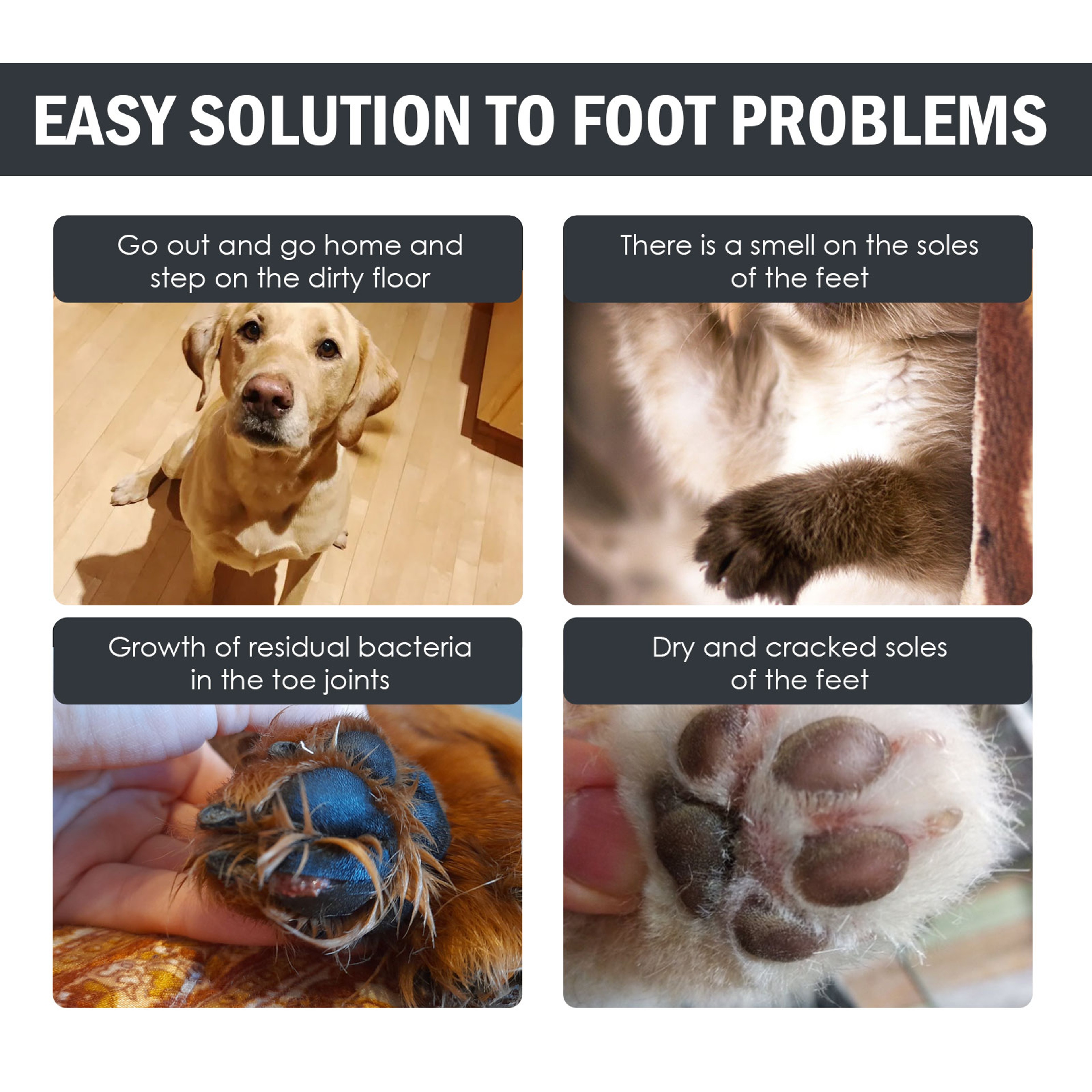No Rinse Pet Paw Cleaner Foam With Soft Brush 2