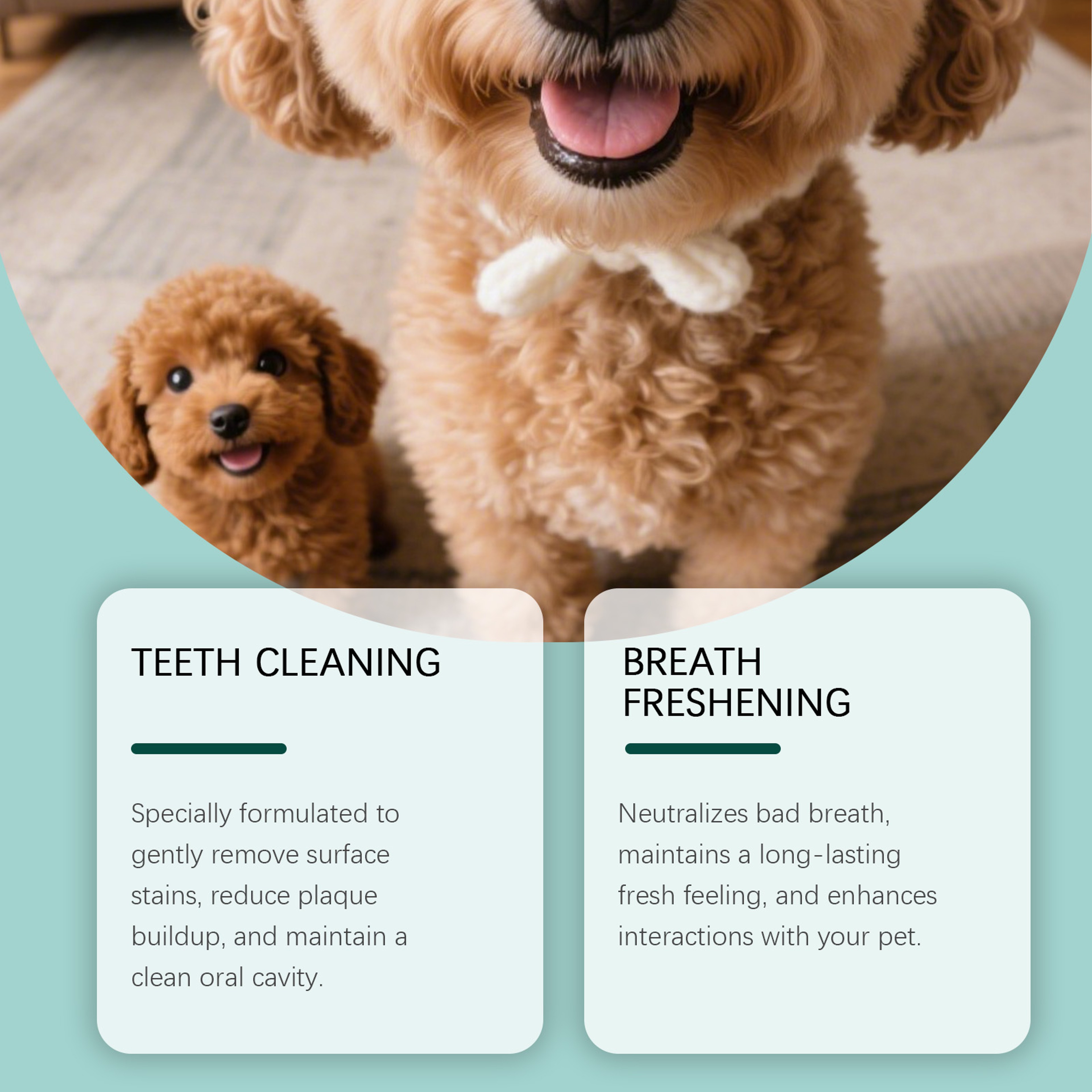 Naturally Fresh Dog Oral Care Powder Teeth Cleaning  Plaque Tartar Remover Breath Freshener 4