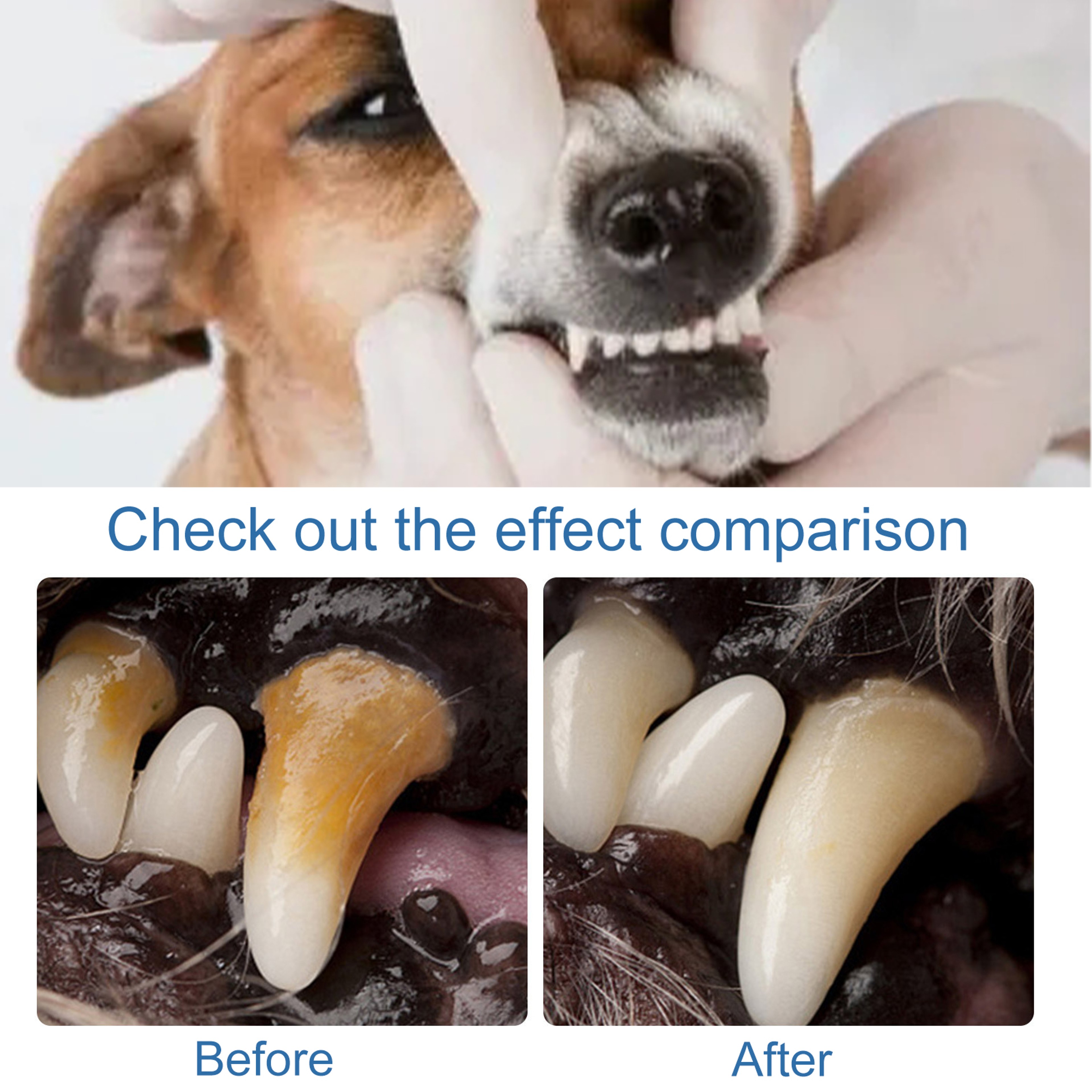 Pet Dental Spray & Foam Cleaner for Cleaner Teeth, Fresher Breath & Tartar Control – view 4