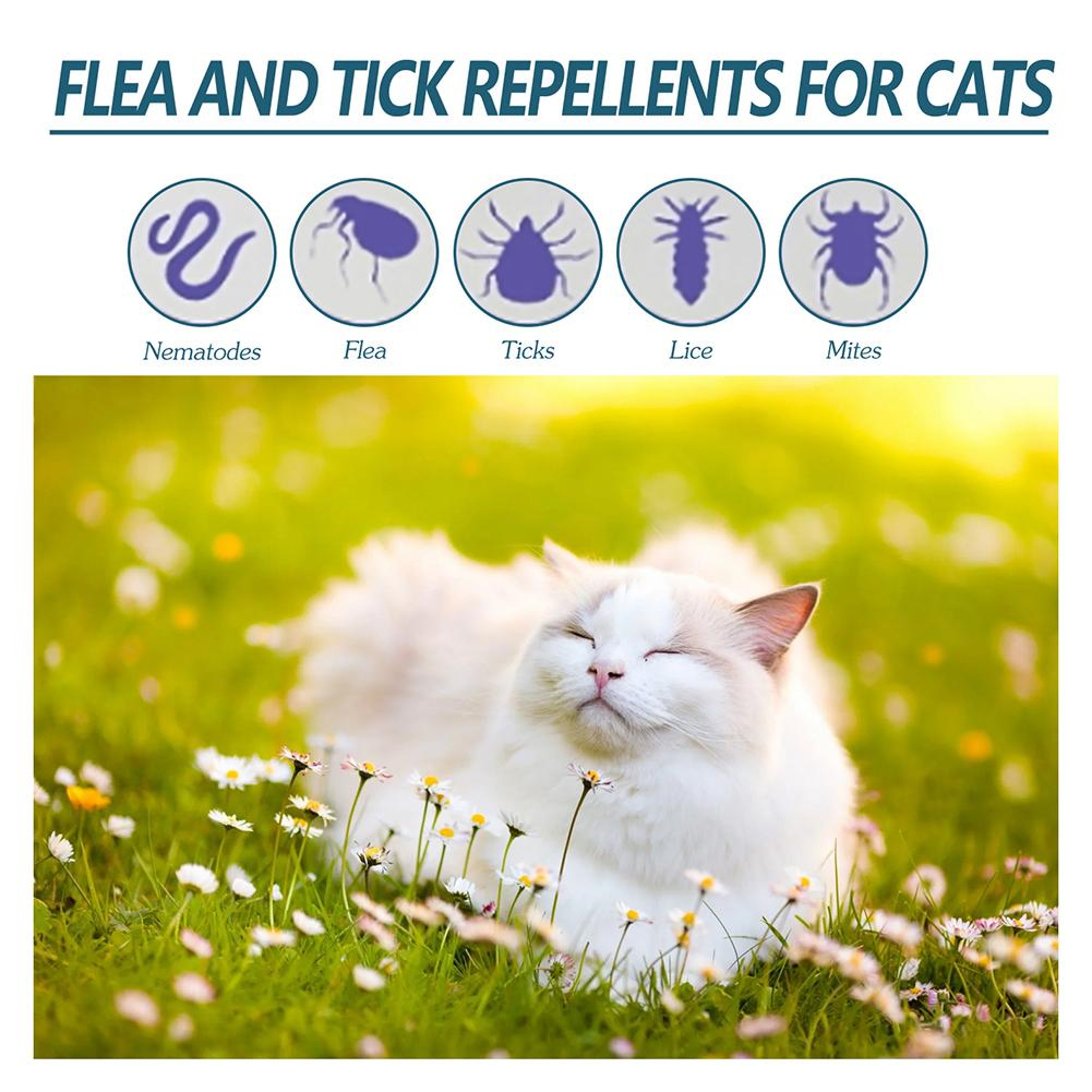 Ultimate Flea & Tick Relief Drops for Cats & Dogs Fast Parasite Control – view 6