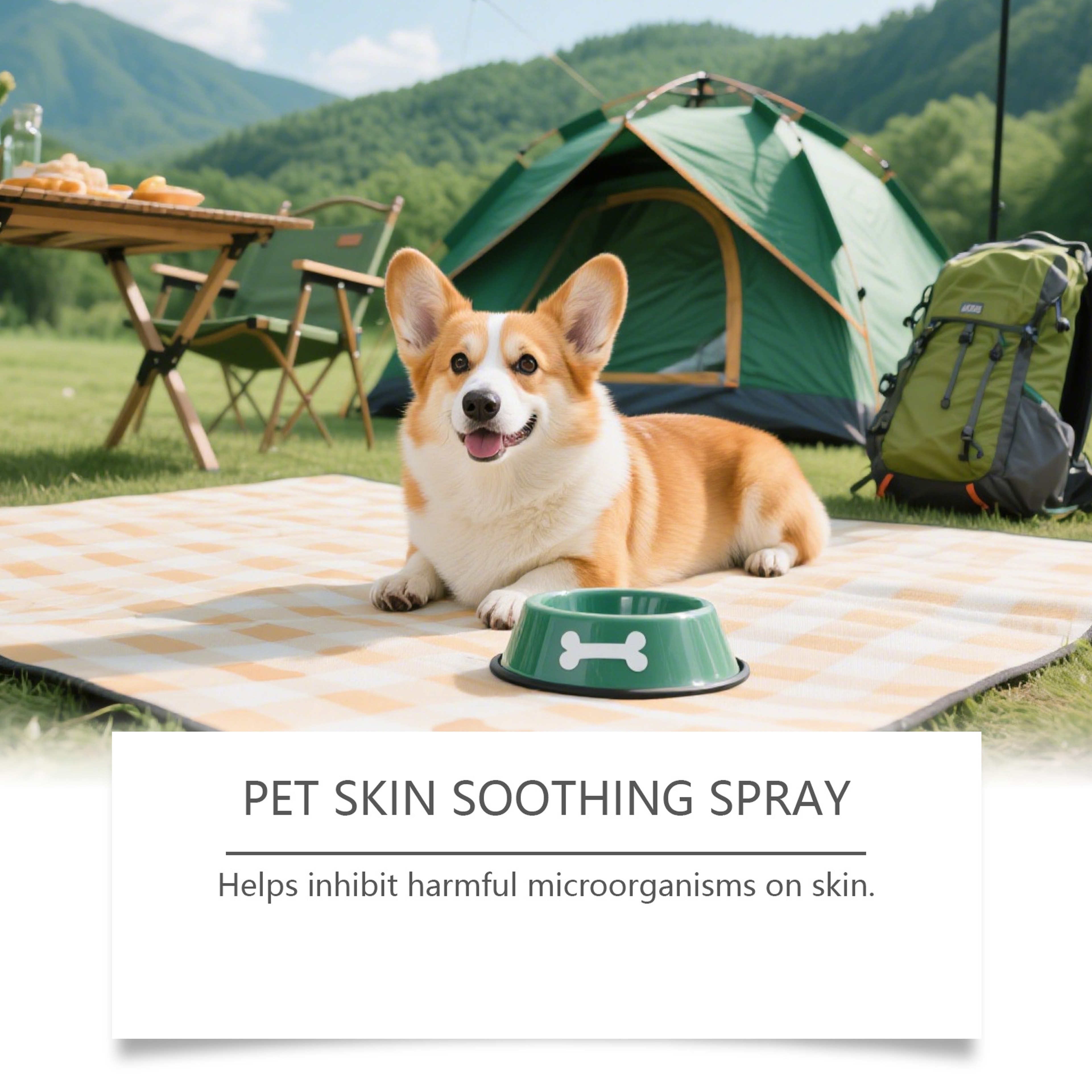 Skin & Coat Moisturizing Spray for Dogs & Cats – view 2