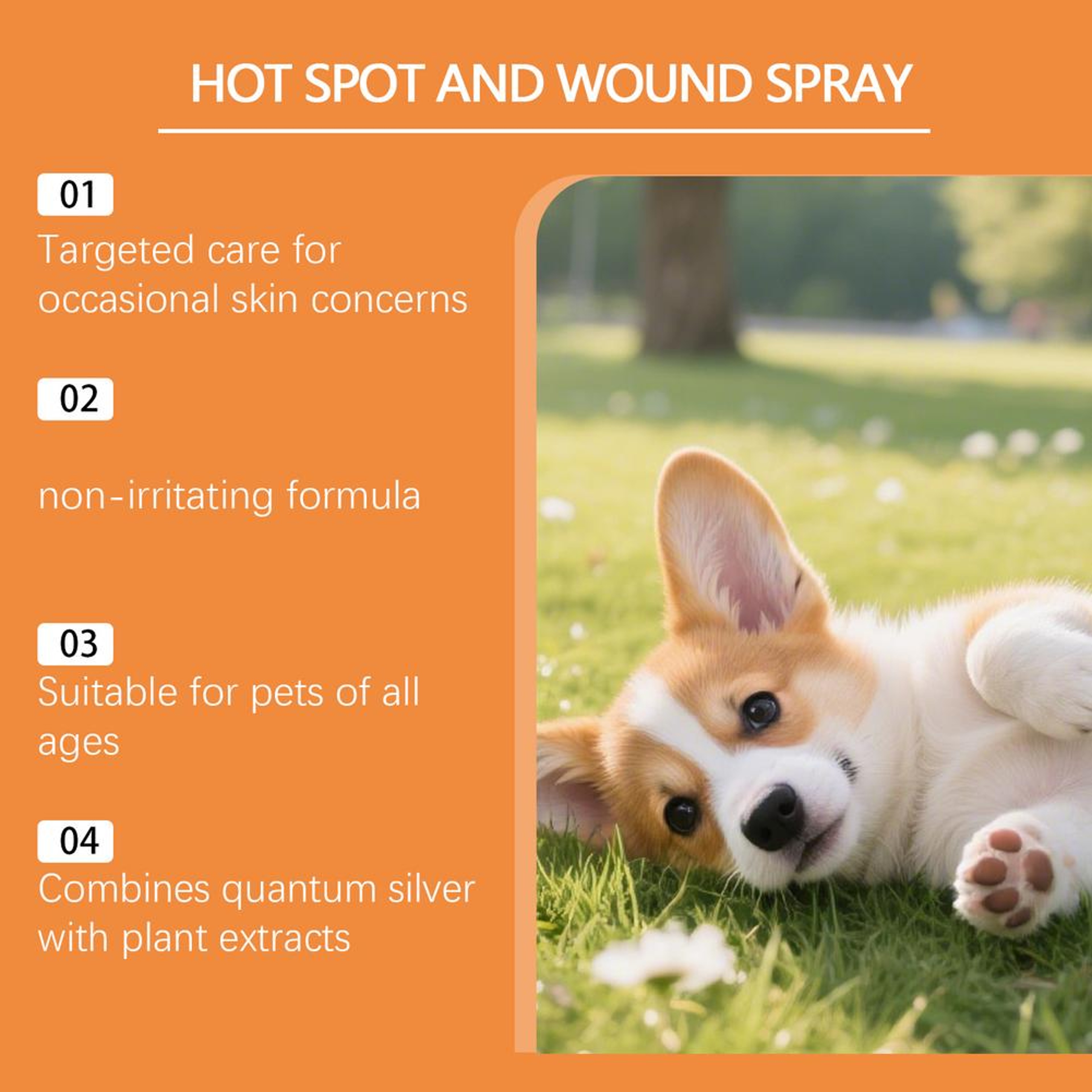 Pet Skin Repair Spray for Dogs & Cats Anti Itch Skin Care and Cleansing Mist 100ml – view 4