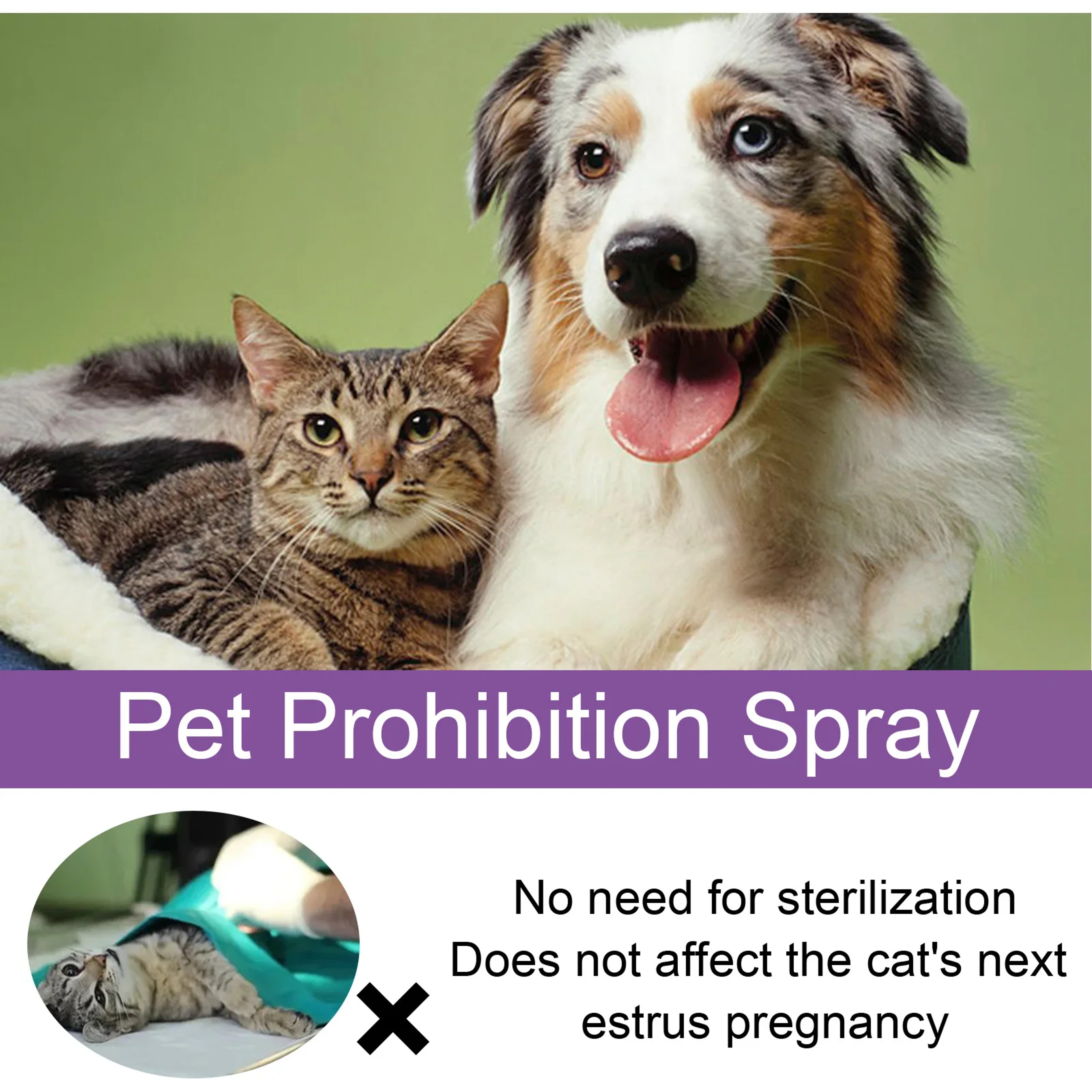 Pet Peace 50ml Pet Calming Spray for Pets Anxiety & Howling Relief – view 6