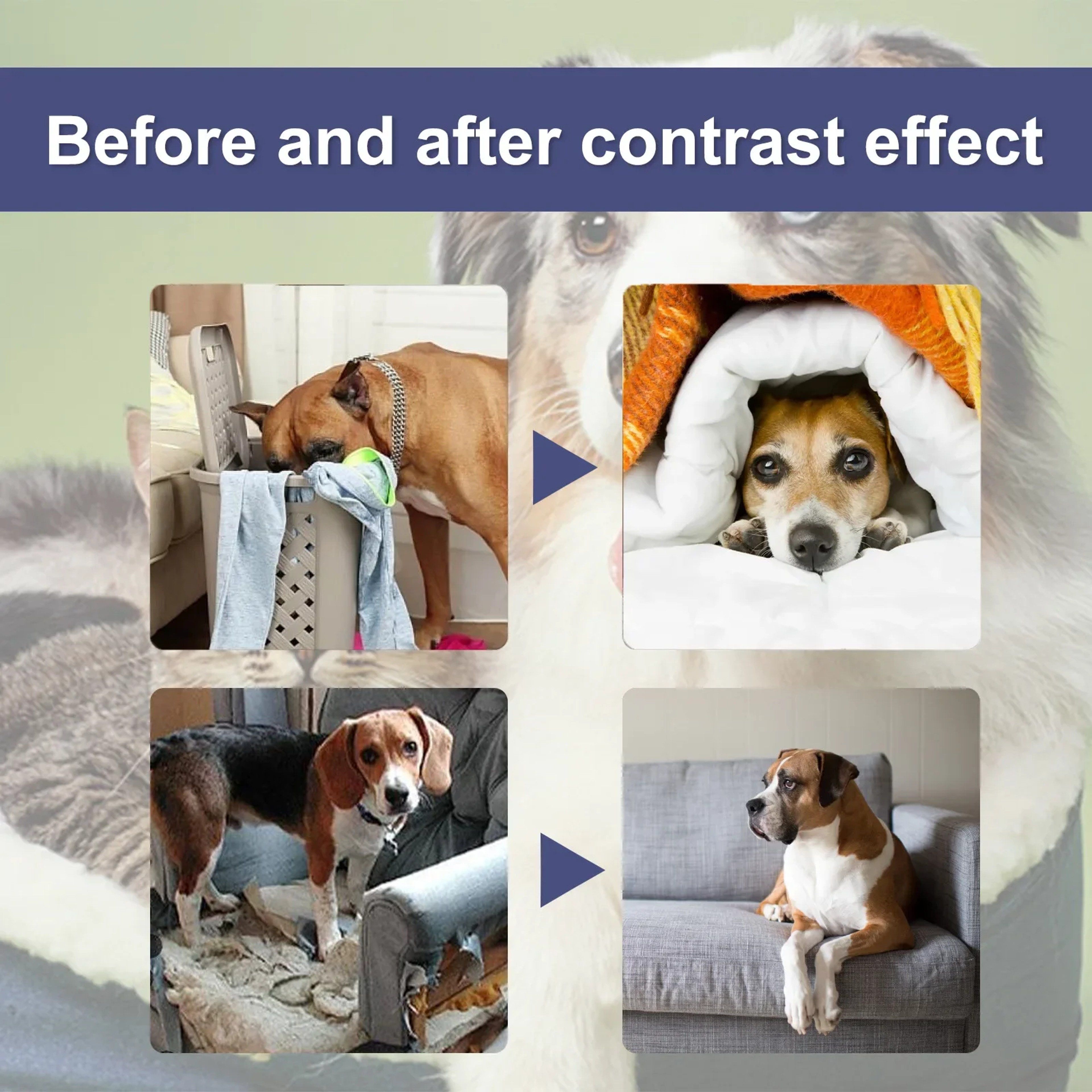 Anti Chew Training Spray for Dogs & Cats Furniture Protection Formula – view 3