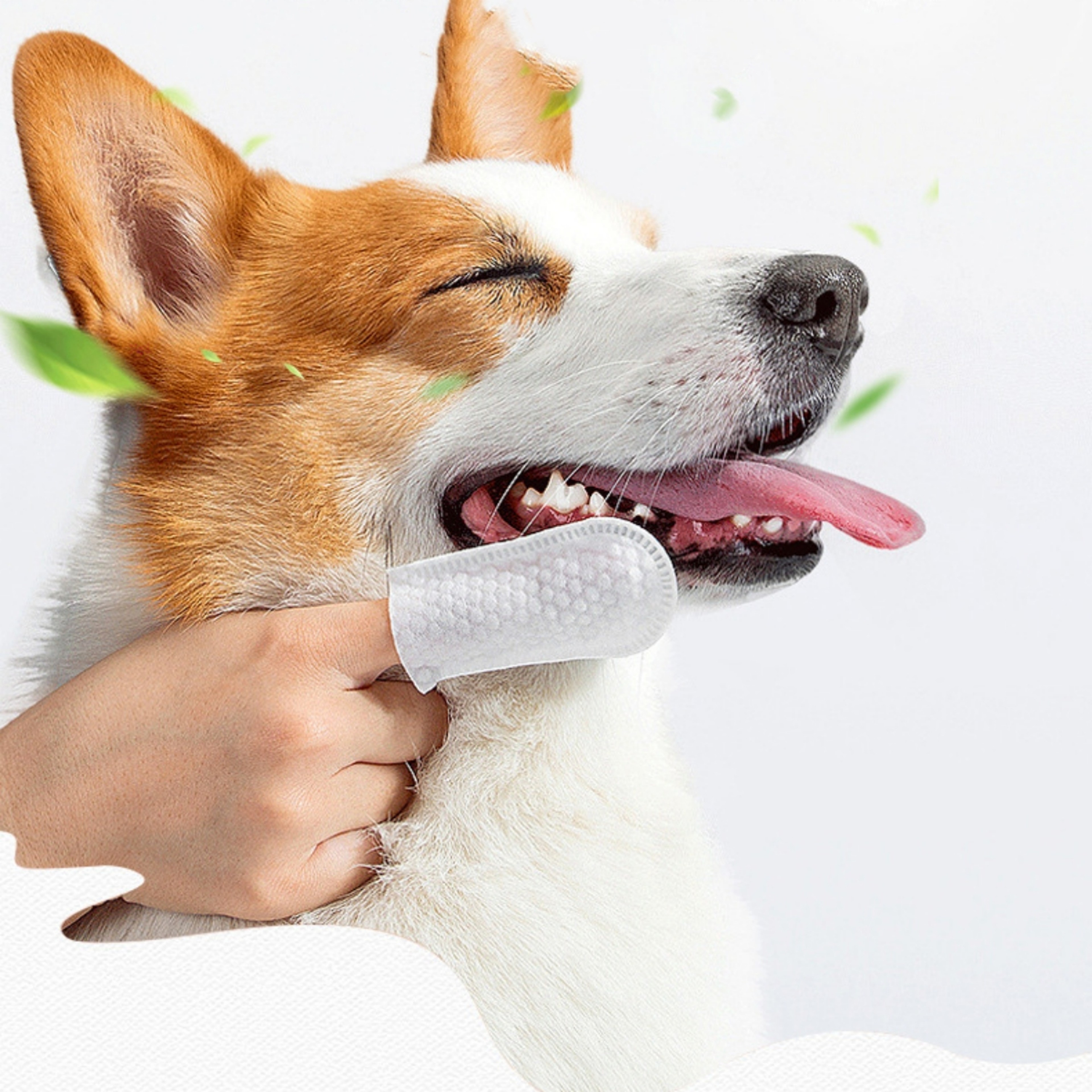 Disposable Pet Finger Wipes For Dogs  Cats Teeth Ear  Eye Cleaning Finger Cots 1