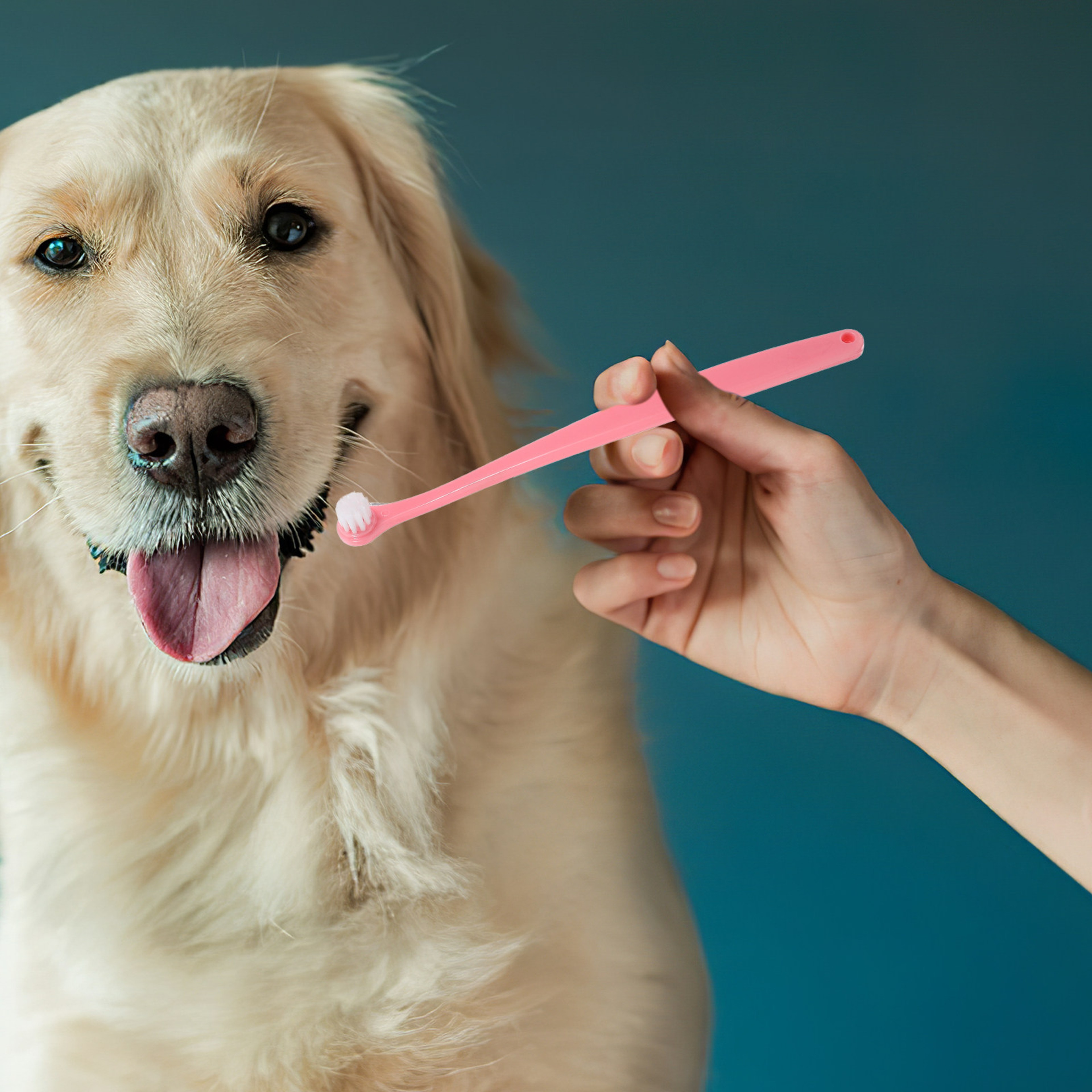 Soft Bristle Ergonomic Dog Toothbrush for Pet Dental Care Puppy Teeth Cleaning Brush – view 1