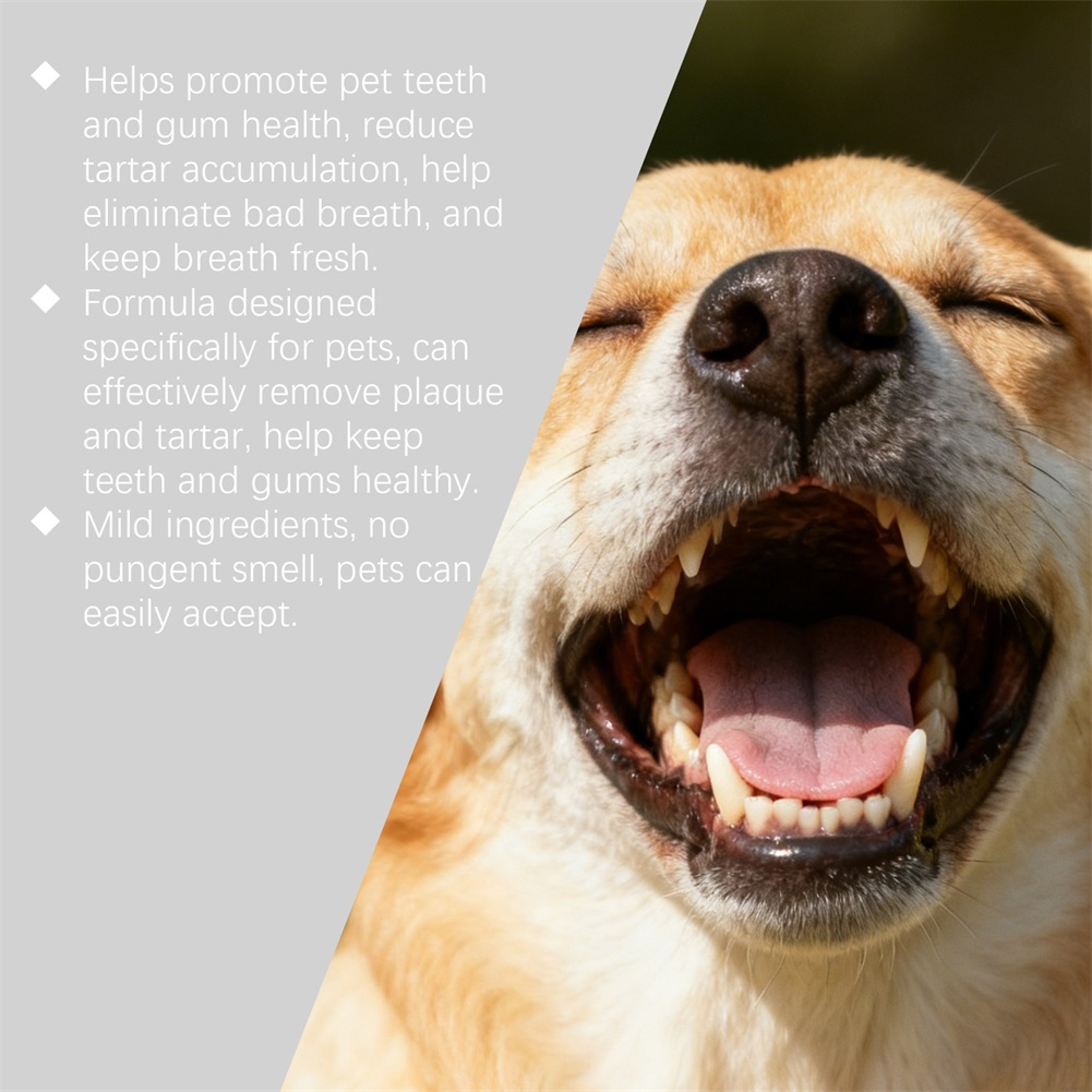 Natural Dog & Cat Dental Spray Pet Oral Care & Bad Breath Freshener for Daily Use – view 2
