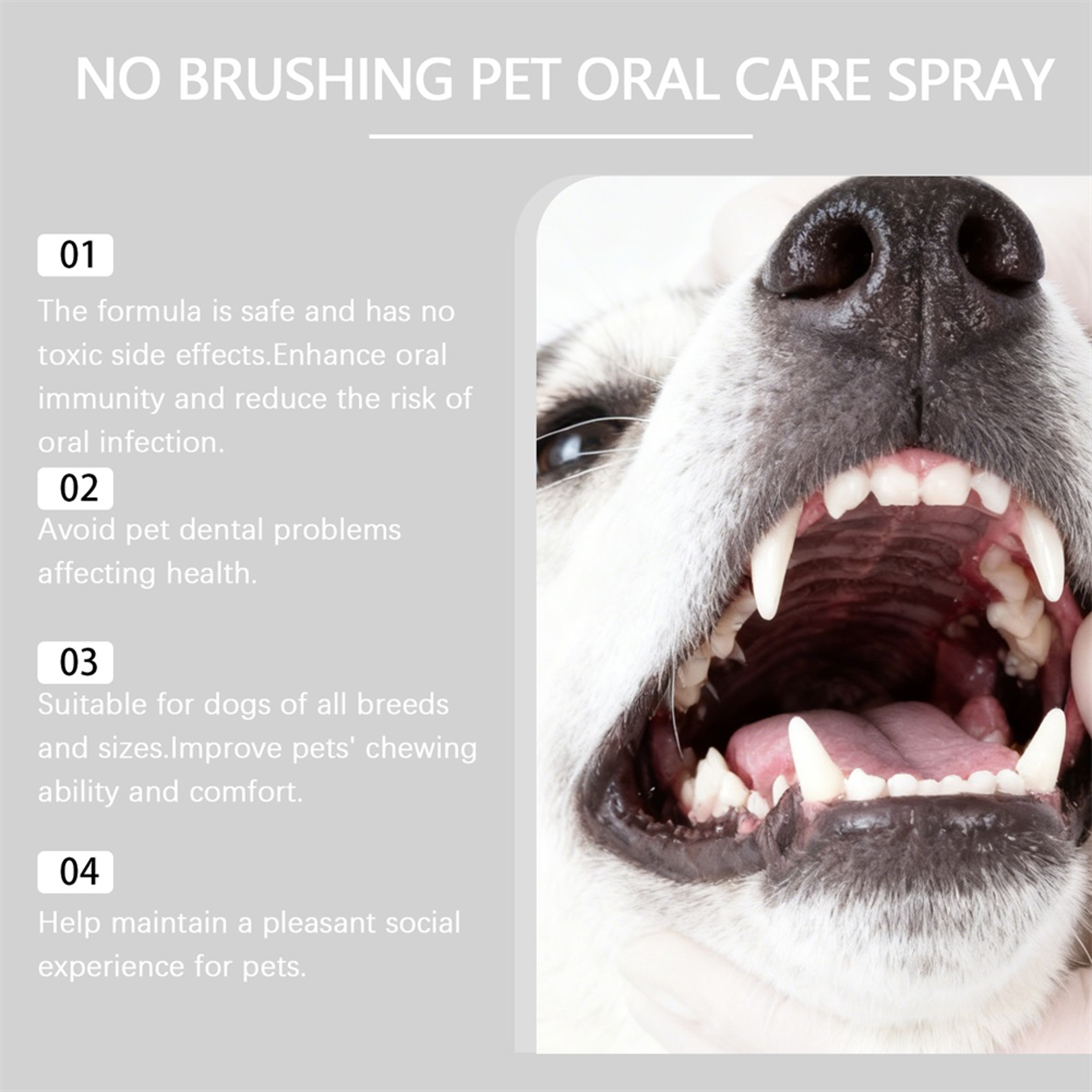 Natural Dog & Cat Dental Spray Pet Oral Care & Bad Breath Freshener for Daily Use – view 4