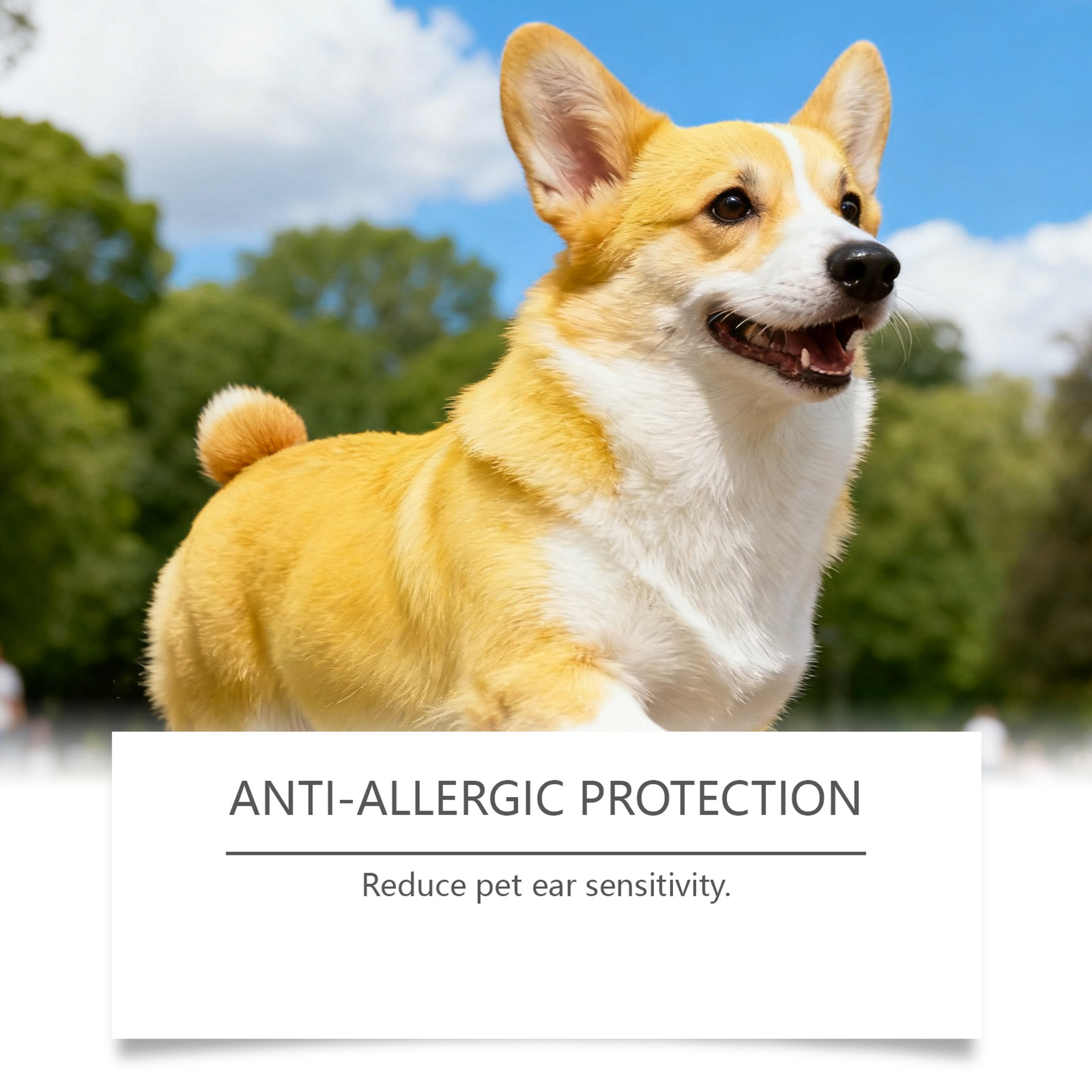 Pet Ear Cleaner Solution for Dogs and Cats Odor and Wax Care – view 3