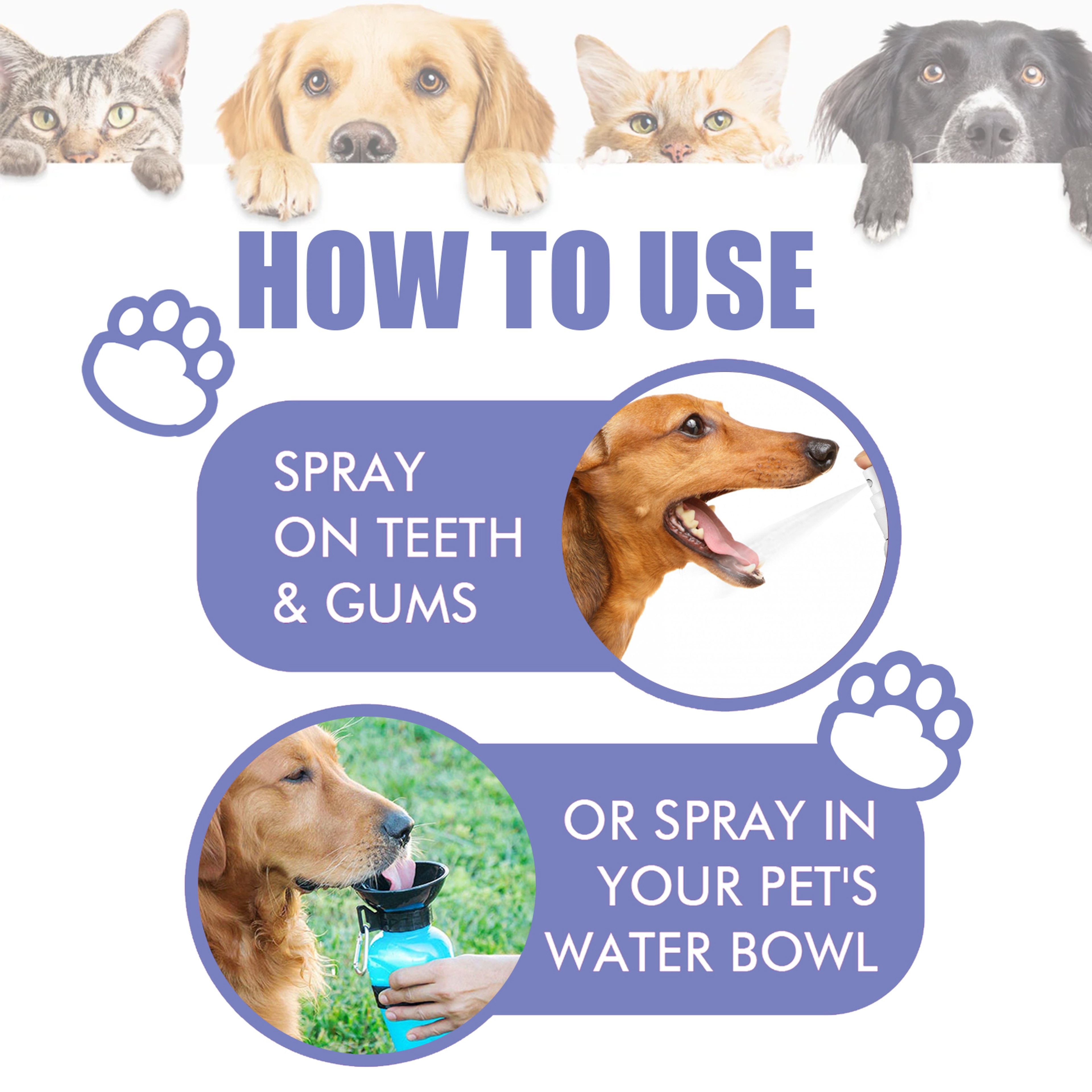 Dog & Cat Dental Spray Pet Oral Care Breath Freshener Tartar Control Solution – view 6