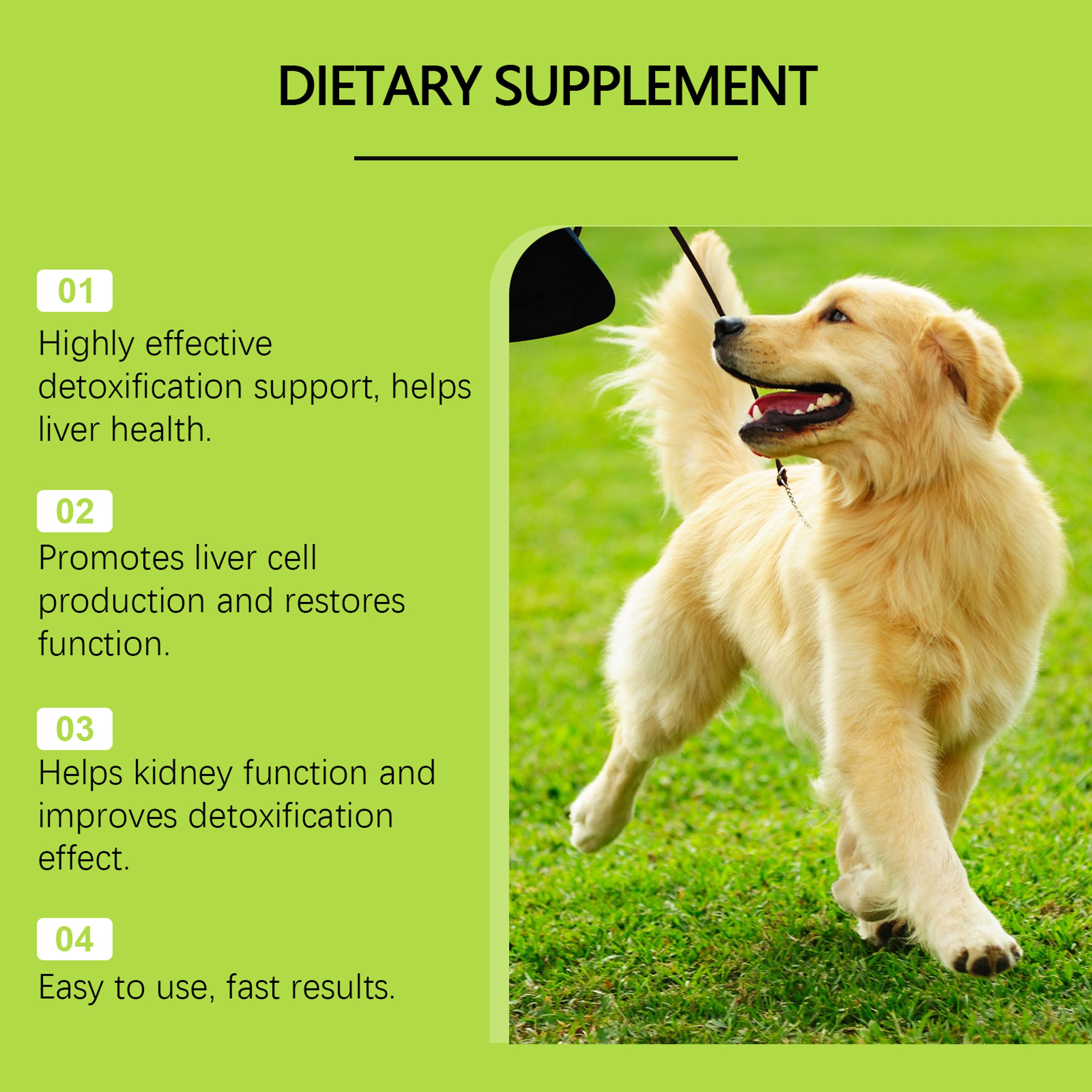Canine Liver Support & Metabolism Drops 60ml Dog Liver Support Supplement for Energy & Detox – view 4