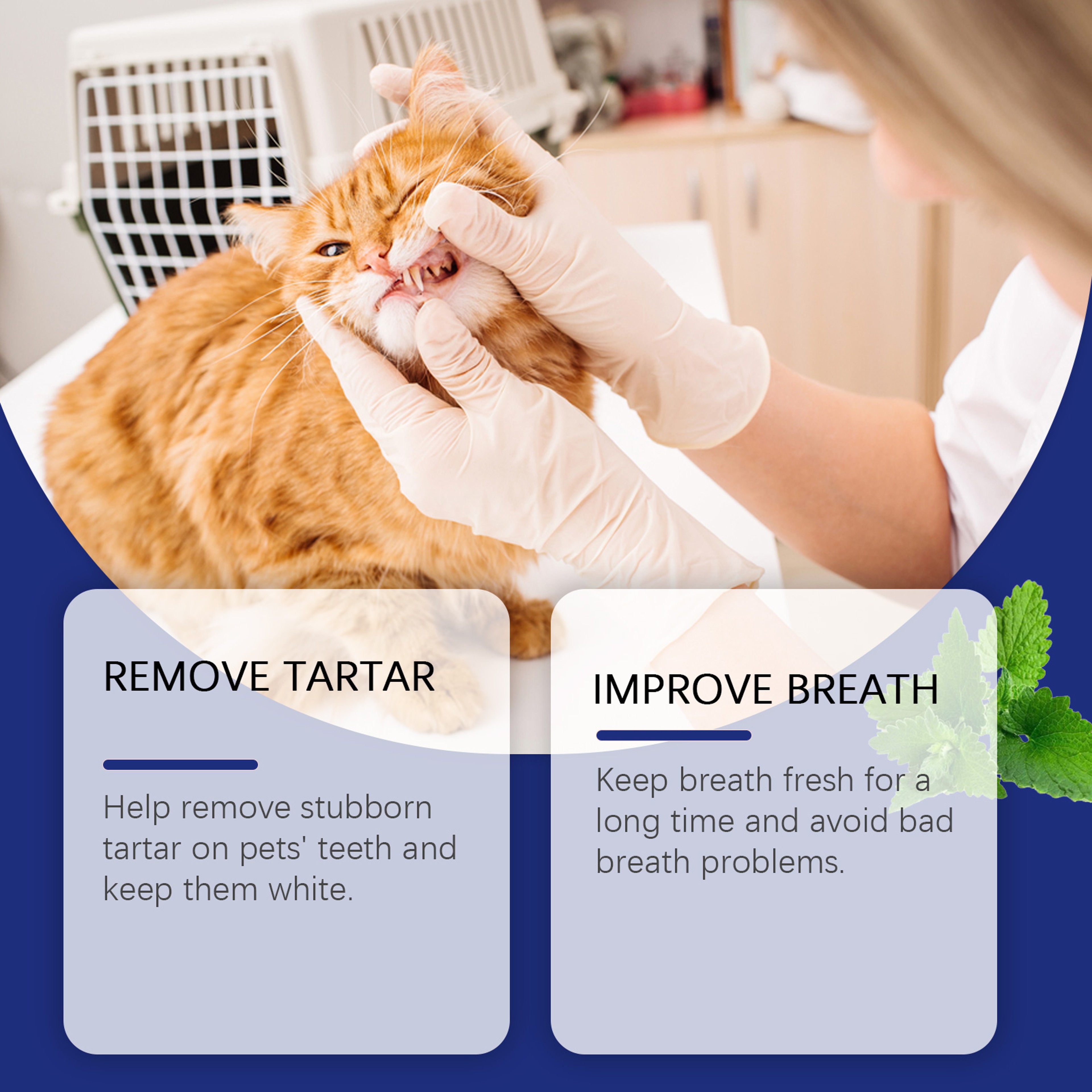 Pet Dental Powder For Dog Teeth Cleaning Tartar Removal  Fresh Breath Care 3