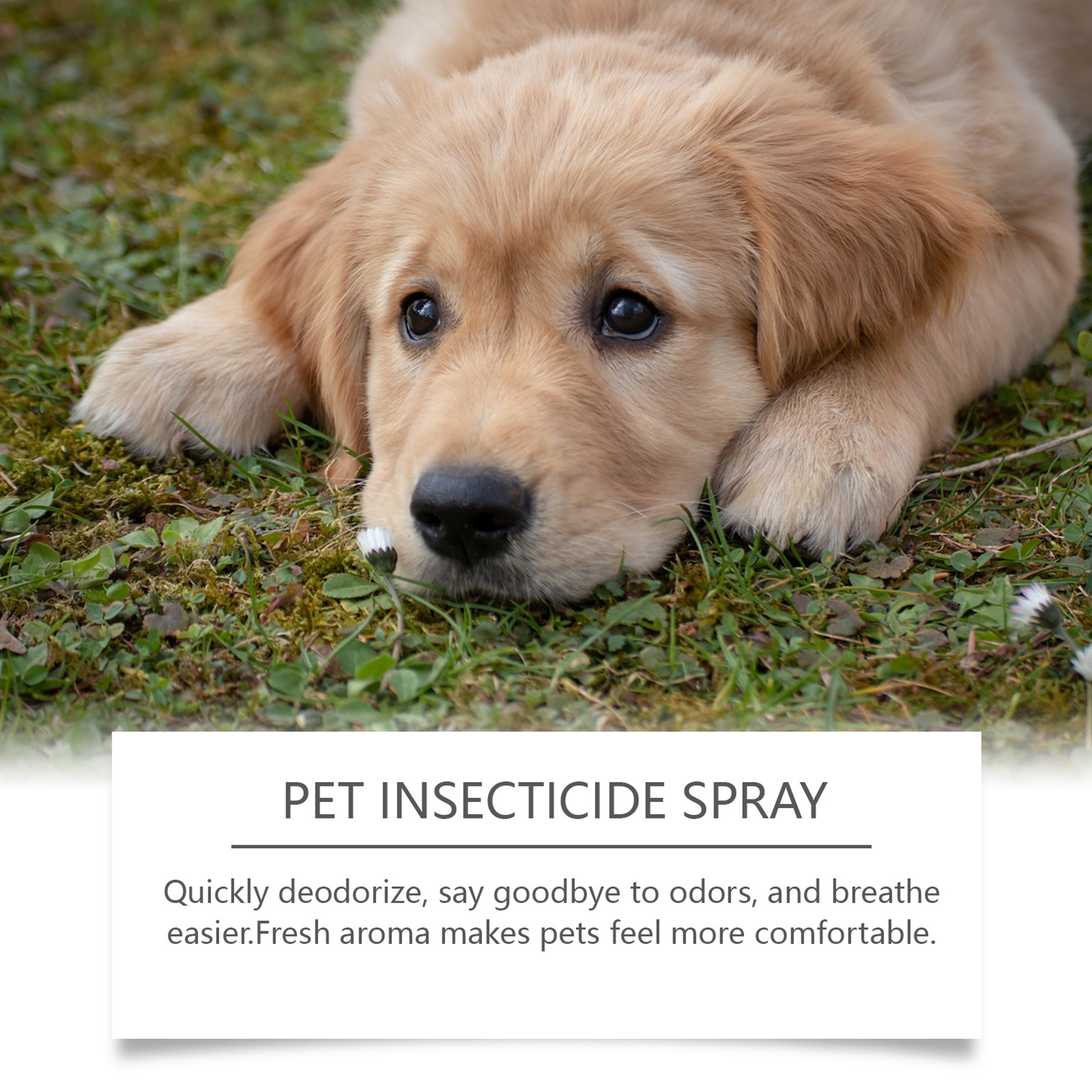 Pet Deworming & Flea Control Deodorizing Spray for Dogs & Cats Odor Eliminator & Skin Freshening Solution – view 3