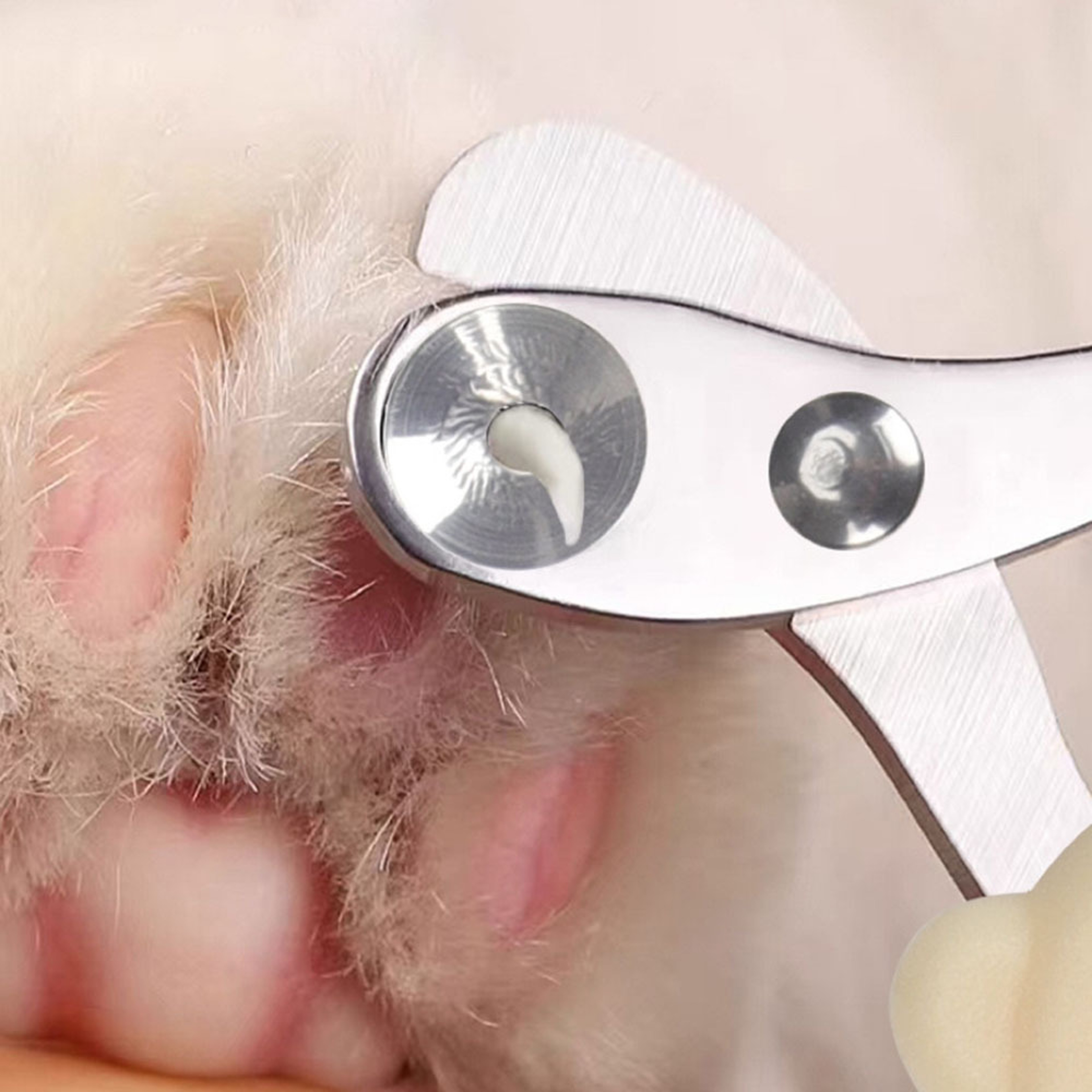 Purr Safe Precision Cat Nail Clippers Professional Pet Nail Trimmer For StressFree Grooming 0