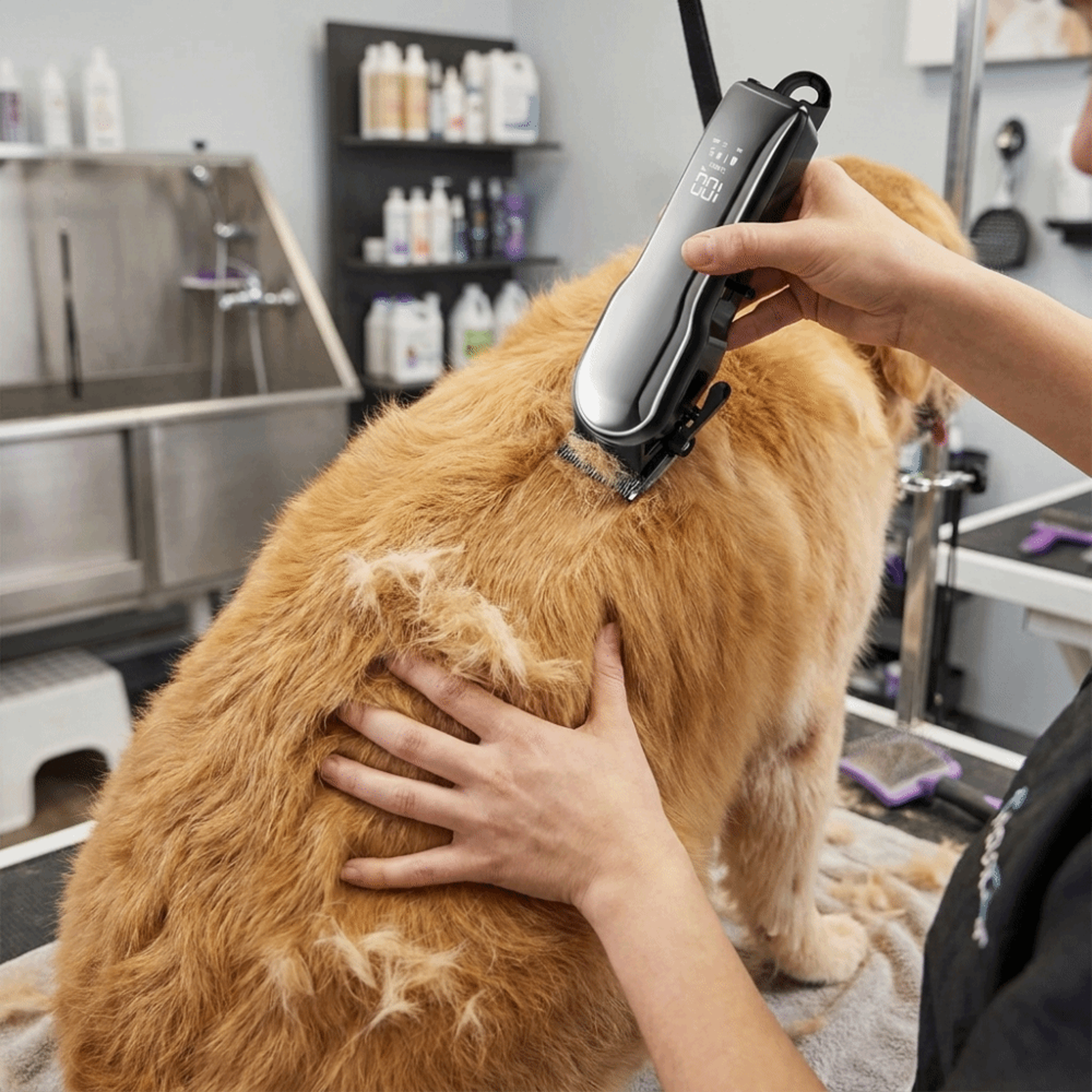 Pro Rechargeable Dog Hair Clipper  Pet Grooming Trimmer For Dogs And Cats 1