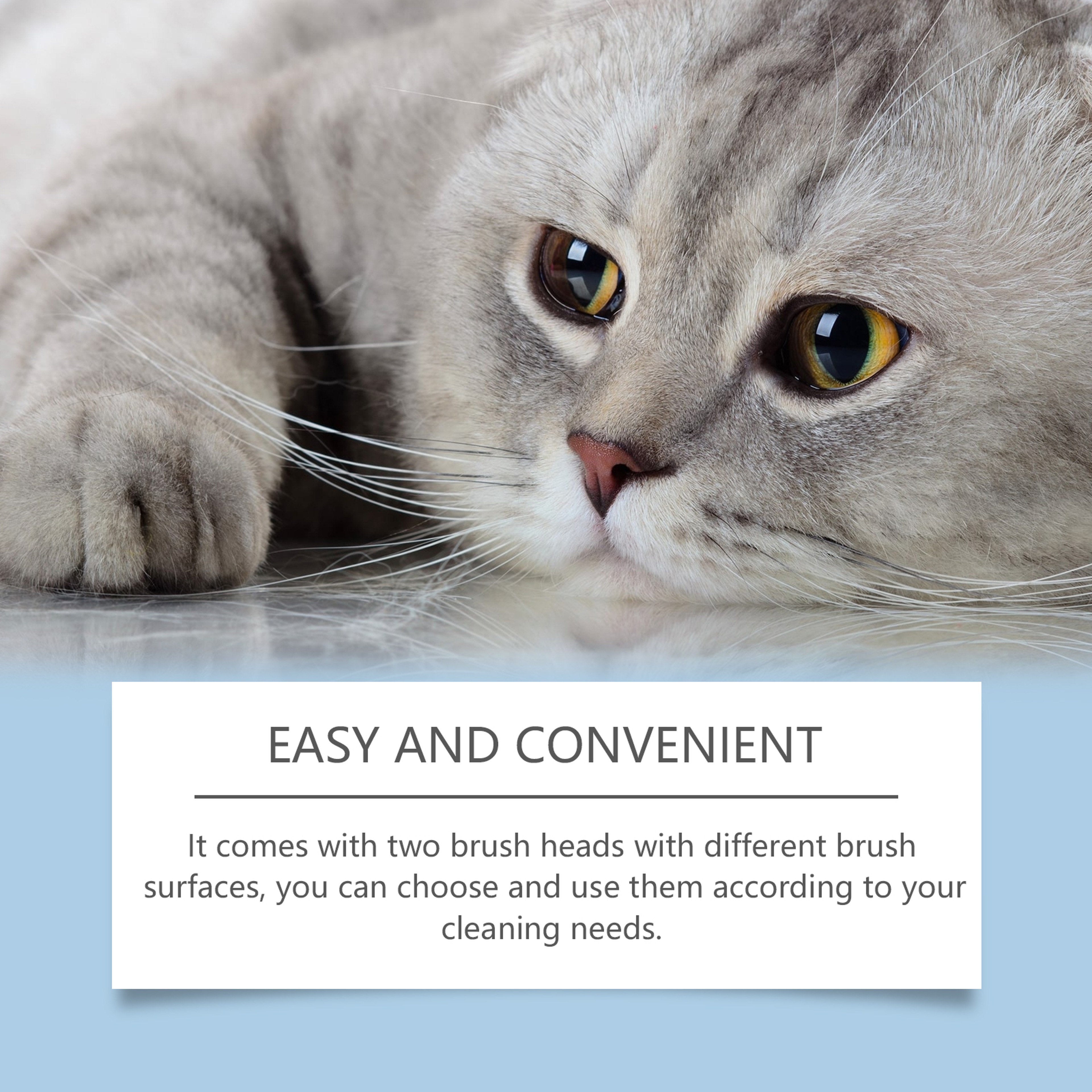 Pet Chin Cleaner Blackhead Cleaning Simple Safe Grooming Supplies For Cat Dog Skin Health Cats Chin 1