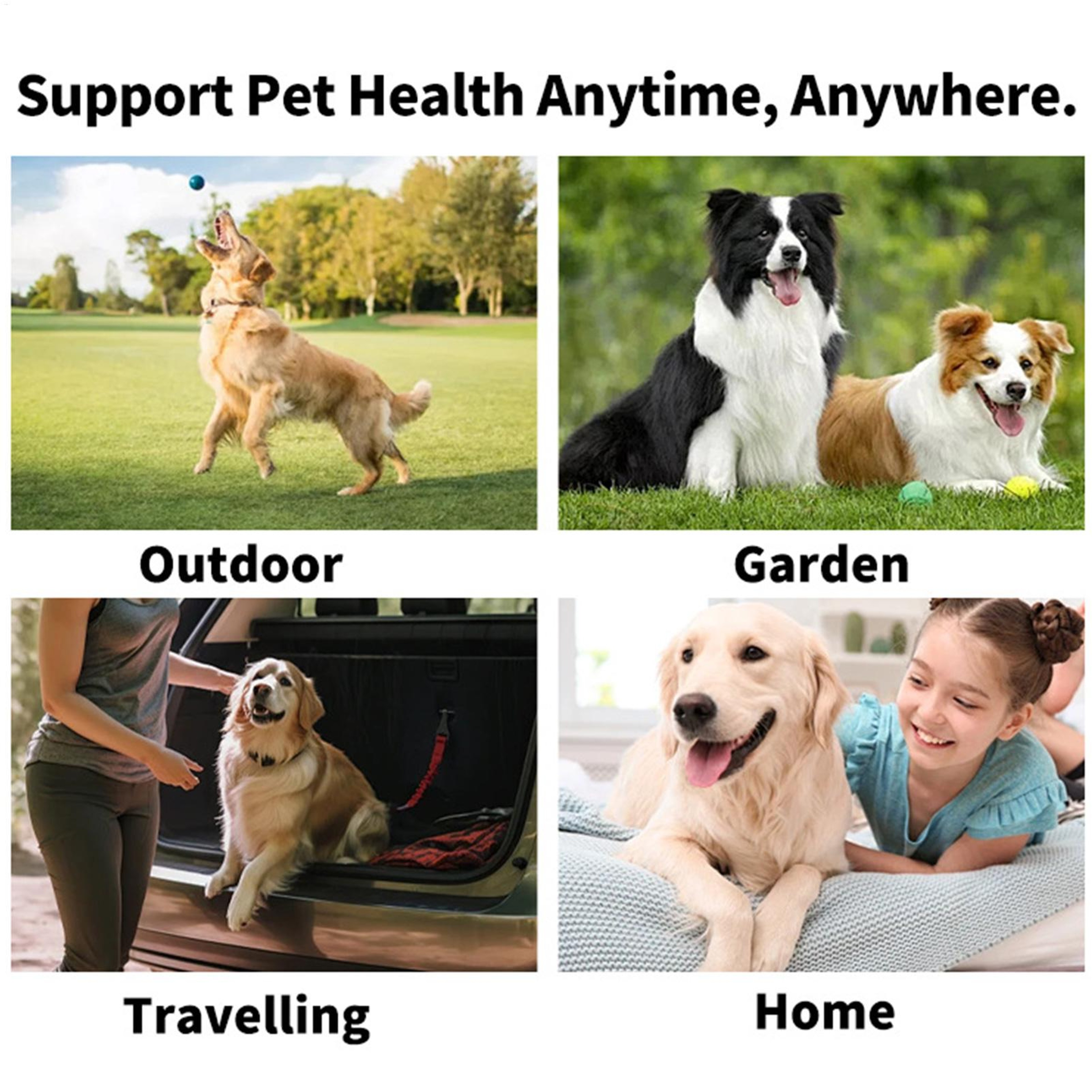 Paw Fresh Dental Finger Wipes for Dogs & Cats Pet Teeth Cleaning & Fresh Breath Care – view 4