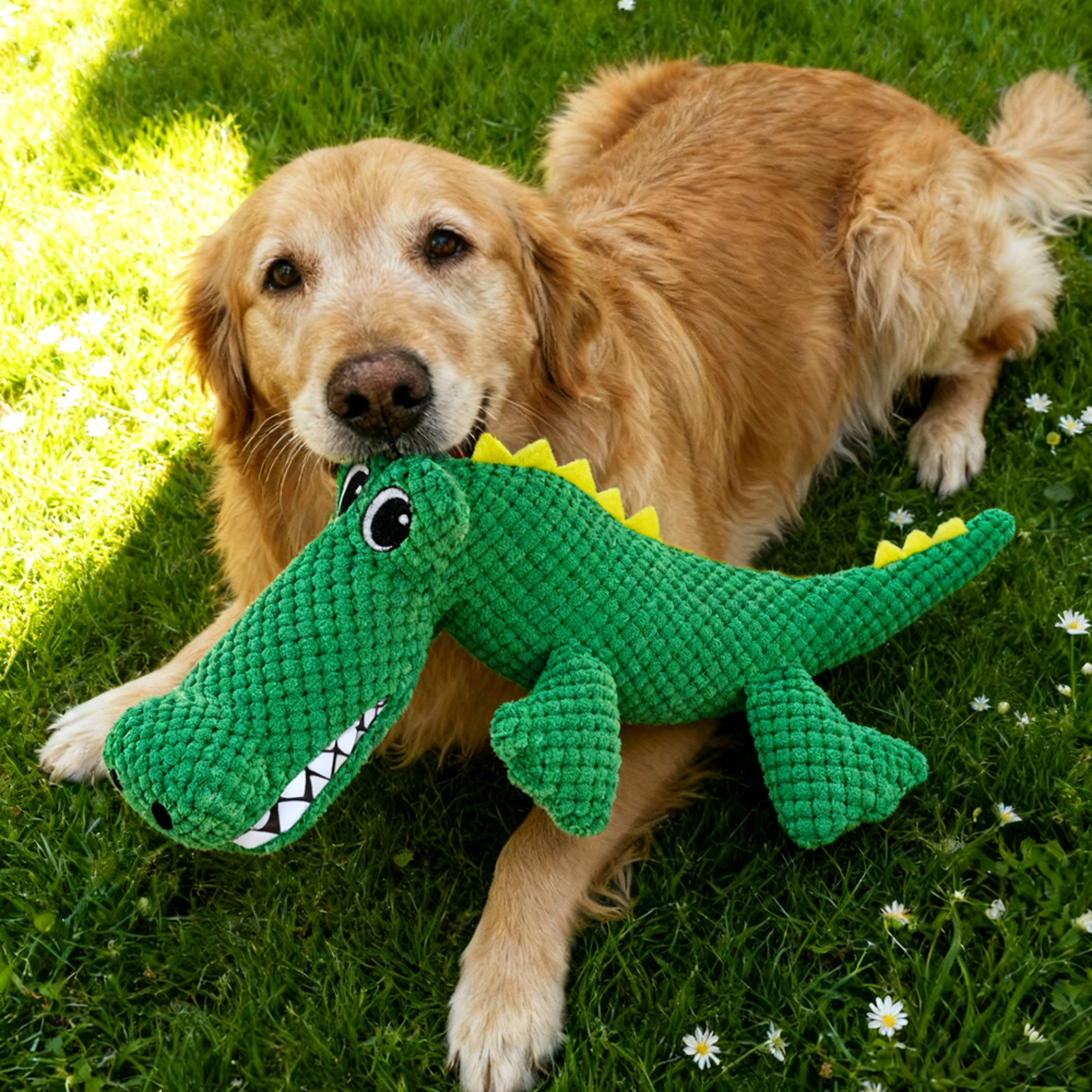 Tough Squeak Dinosaur Dog Toy Chew Resistant Plush Squeaky Toy for Dogs & Cats – view 3