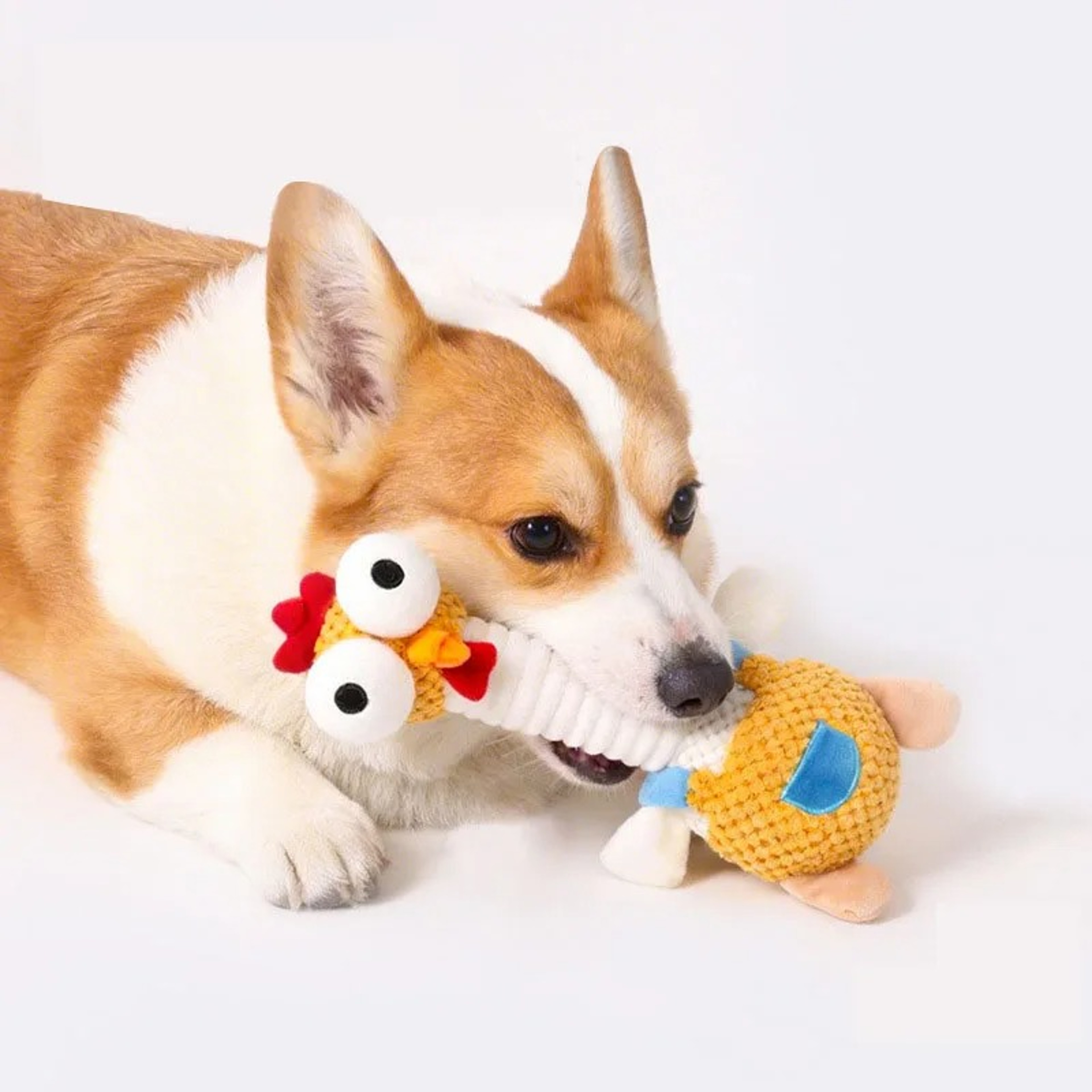 Squeaky Chicken Dog Toy For Puppies  Small Dogs Bite Resistant Interactive Chew Toy 2