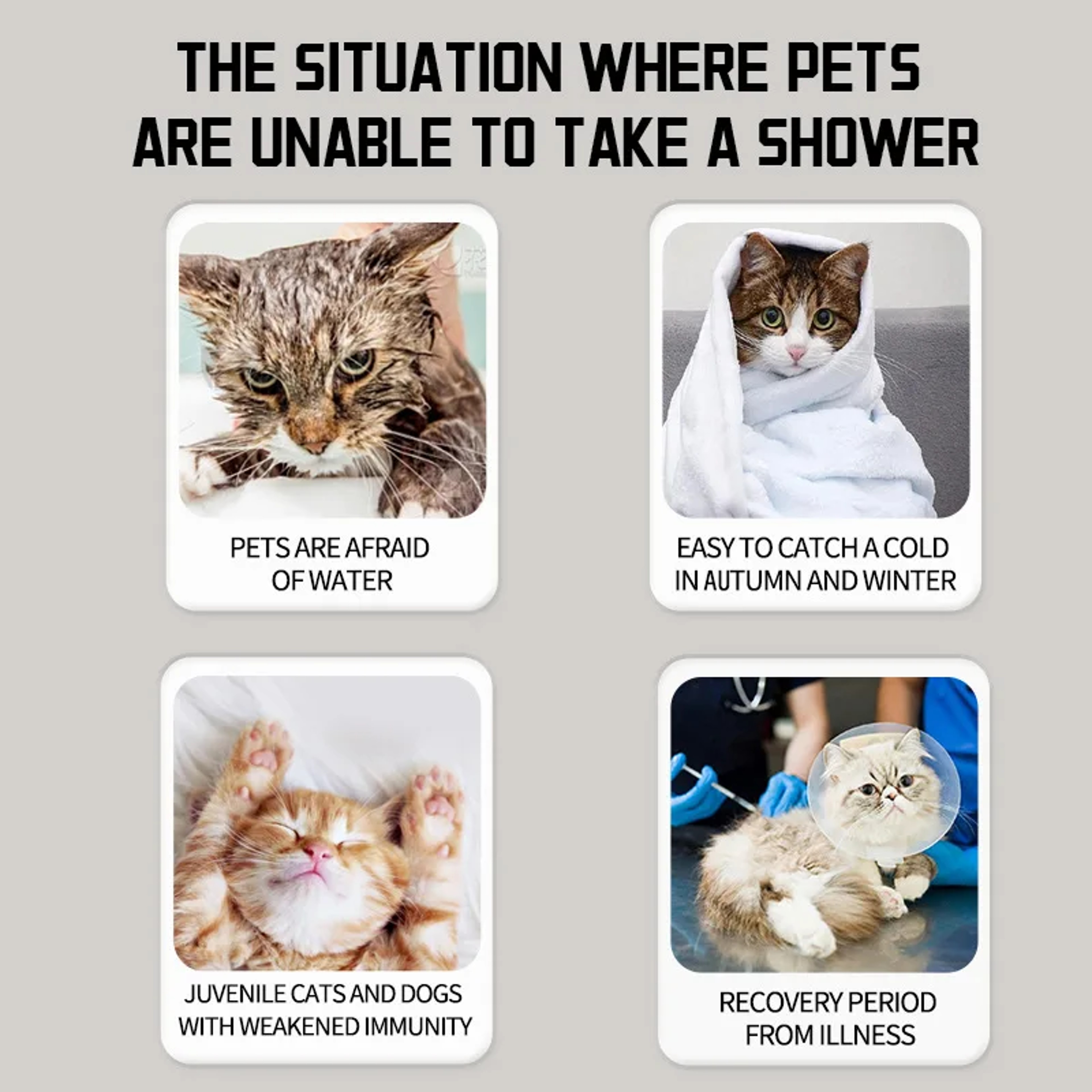 Fresh Paws Waterless Pet Shampoo Foam No Rinse Dry Shampoo For Dogs  Cats Odor Remover 2