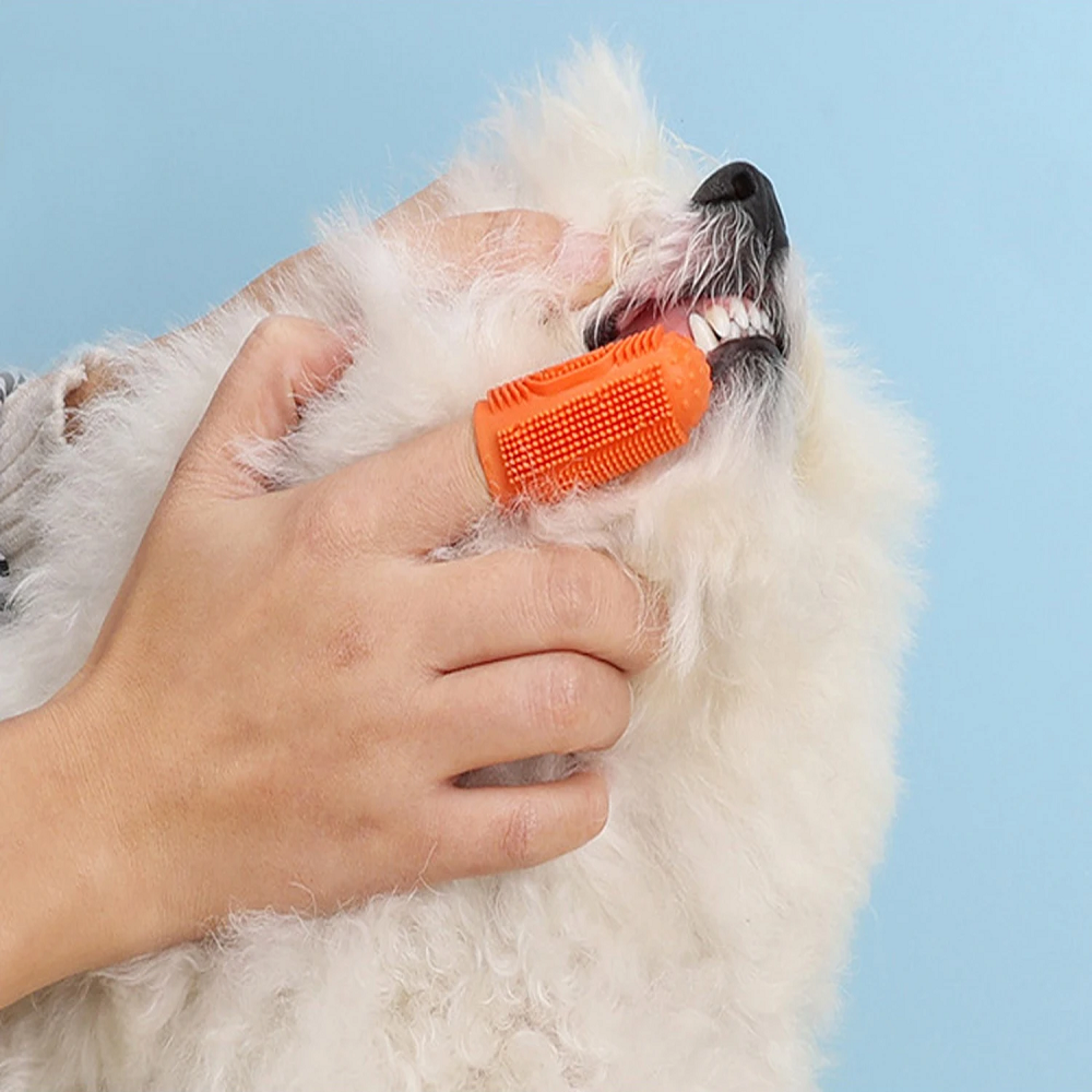 Gentle Clean Silicone Dog Toothbrush Finger Brush Set for Easy Pet Dental Care – view 1
