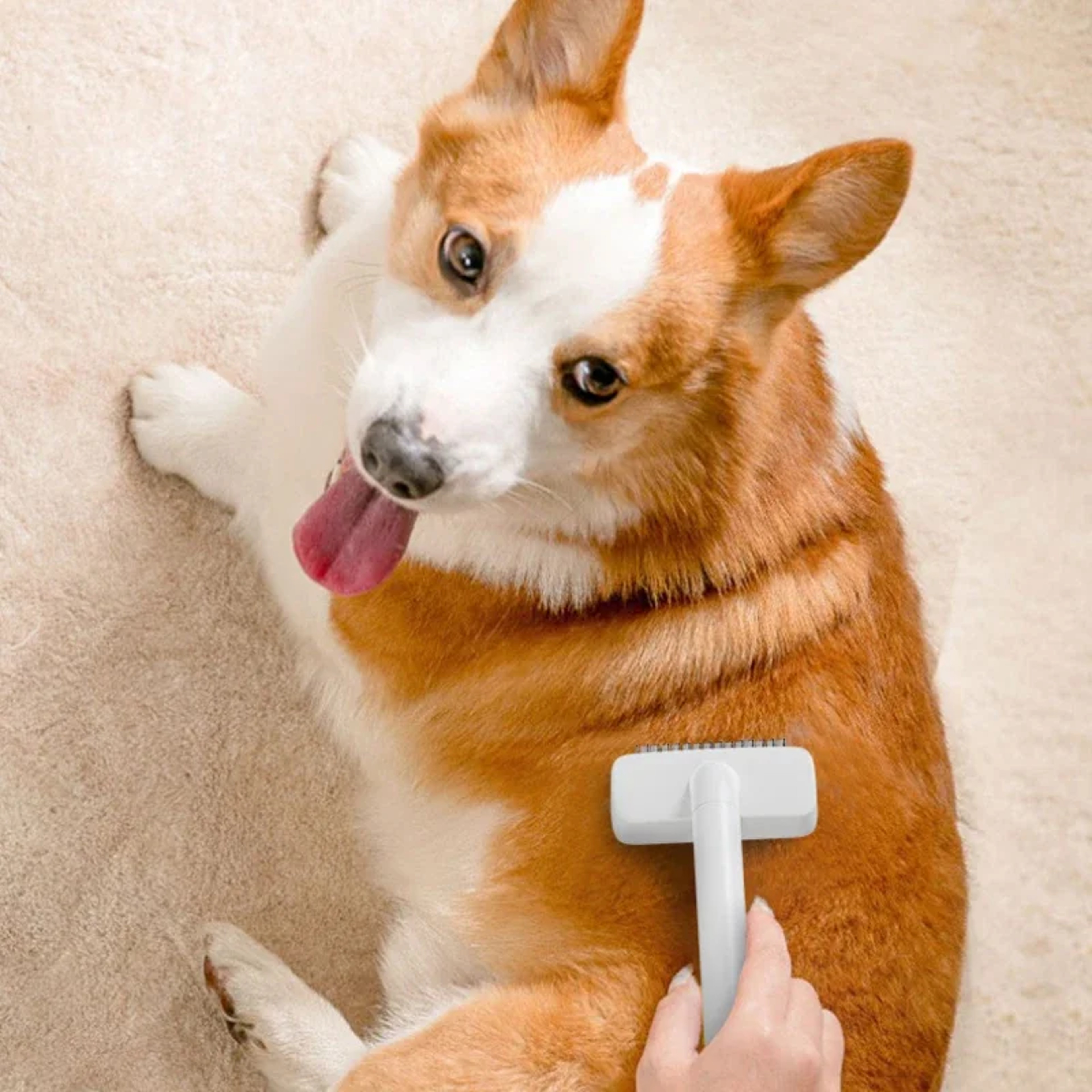 Pet Grooming Tool Double Sided Cat Dematting Comb & Pet Shedding Brush for Dogs and Cats – view 2