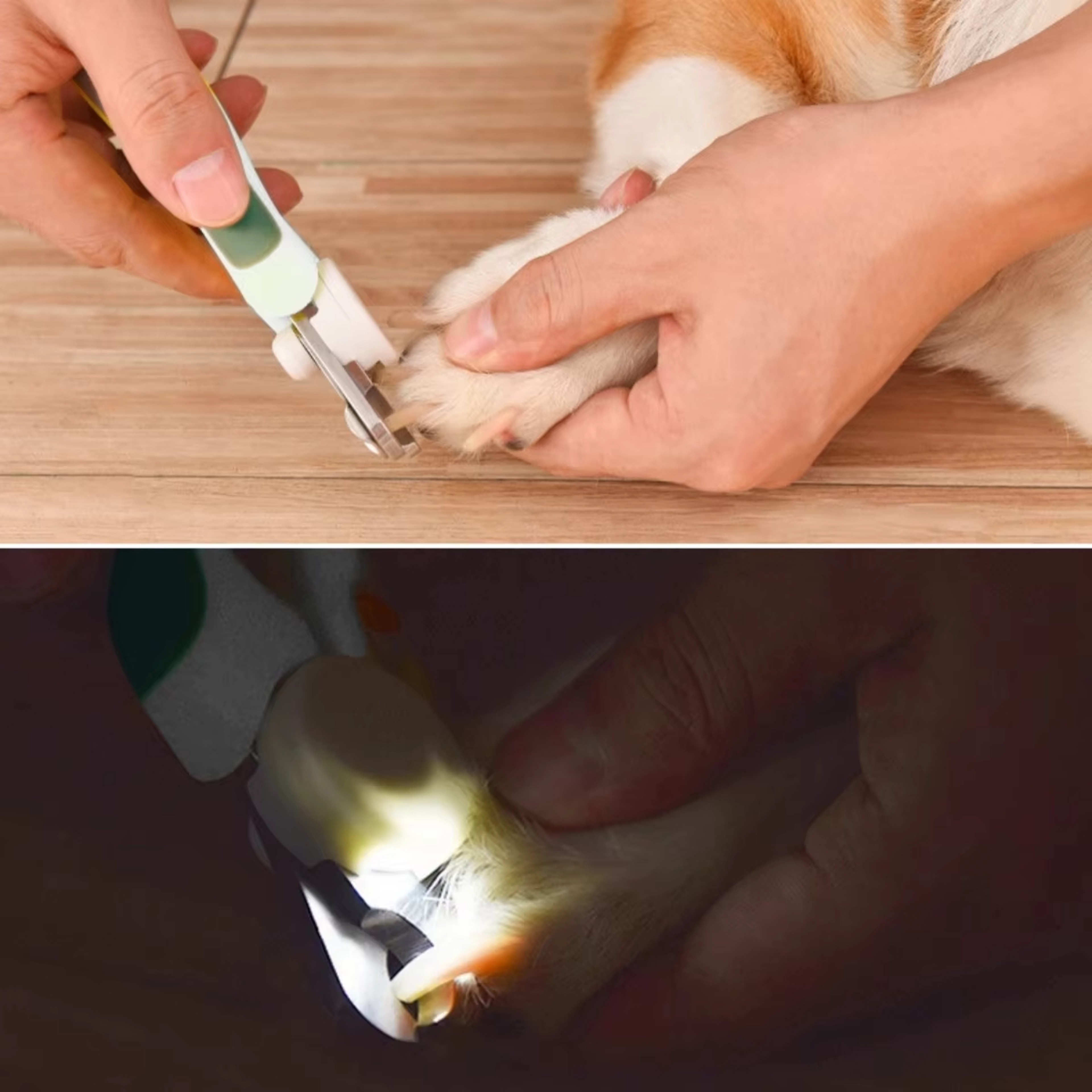 LED Pet Nail Clippers for Dogs & Cats Safe Bloodline Nail Trimmer with Precision Grooming Scissors – view 5