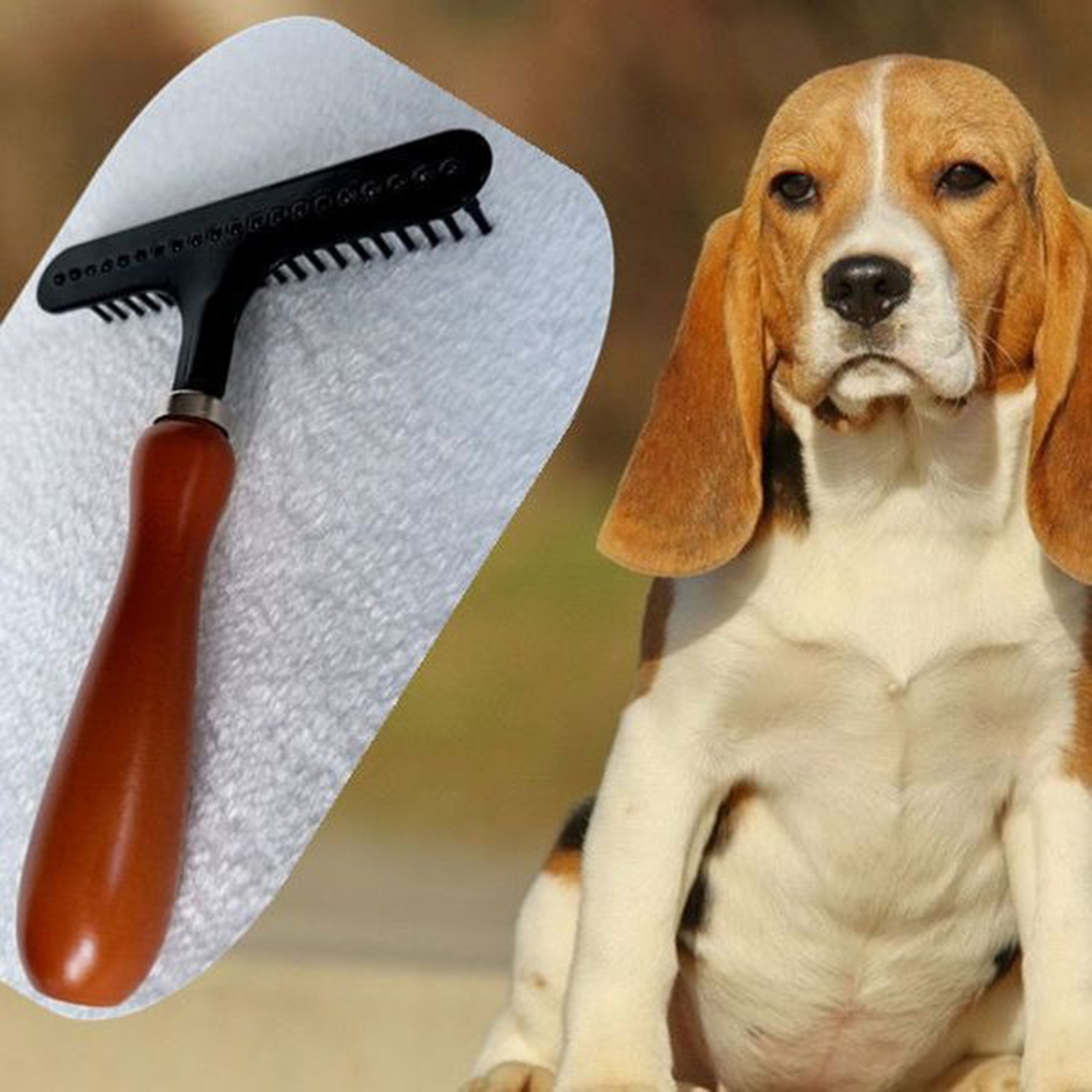 Premium Dog Deshedding Brush & Undercoat Rake for Dogs and Cats Professional Pet Grooming Tool – view 1
