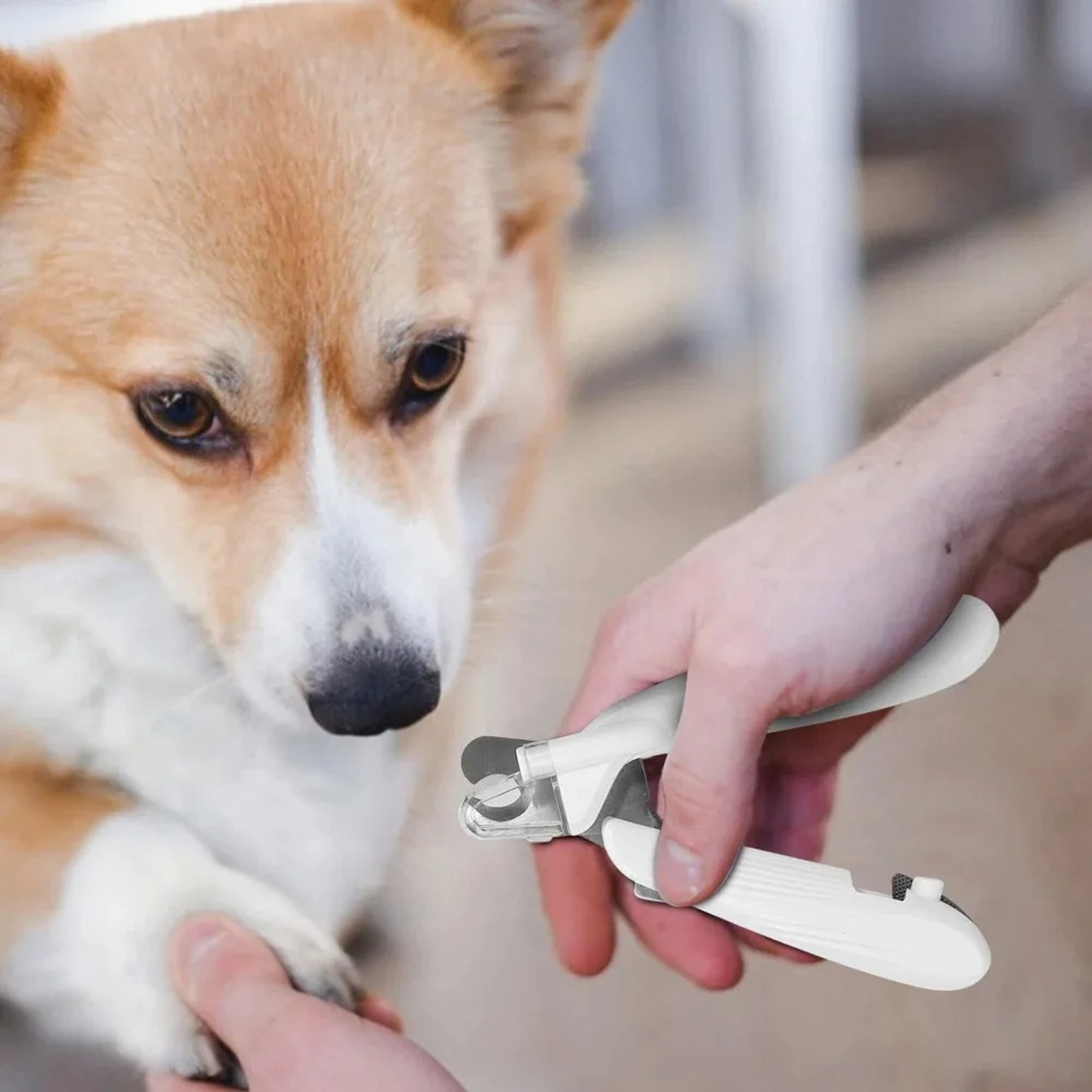 LED Pet Nail Clippers with Safety Light and Splash Guard for Cats & Dogs – view 4