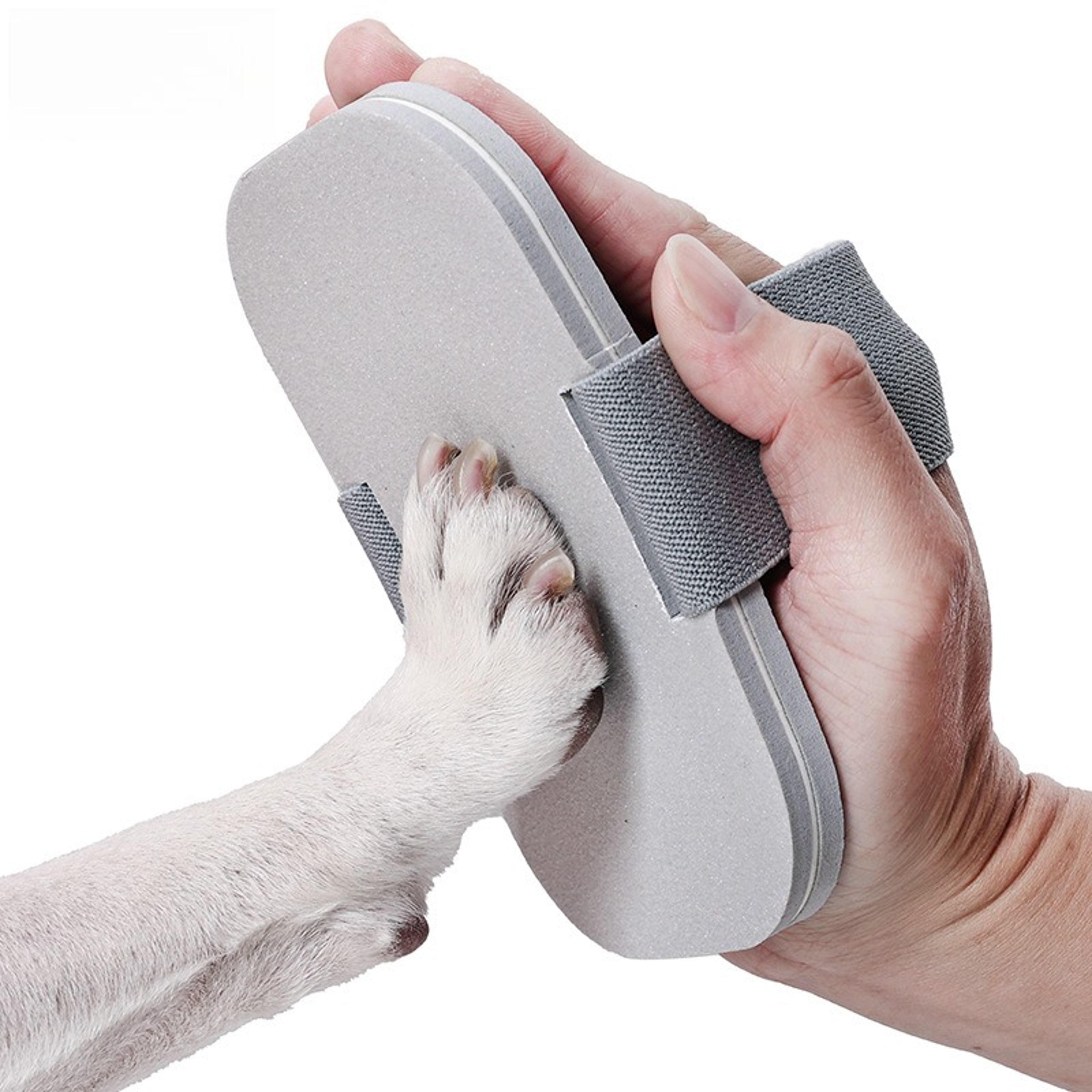 Recharge Able Dog Nail Grinder Electric Dog Nail Trimmer For Safe  Quiet Pet Grooming 0