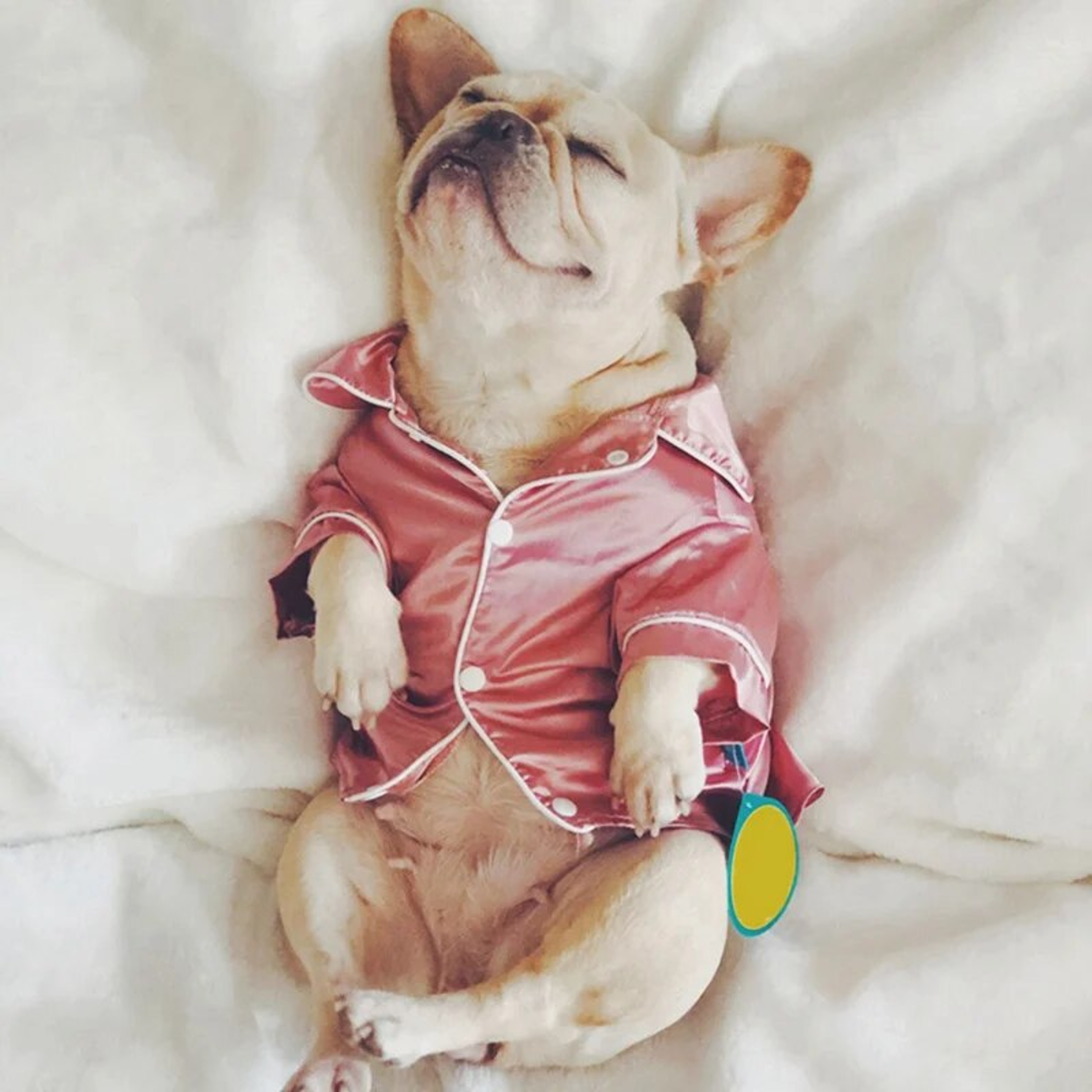 VHcFLuxuryPetDogPajamasSoftSilkFrenchBulldogPajamasPetCoatClothingForSmallDogsShihjp