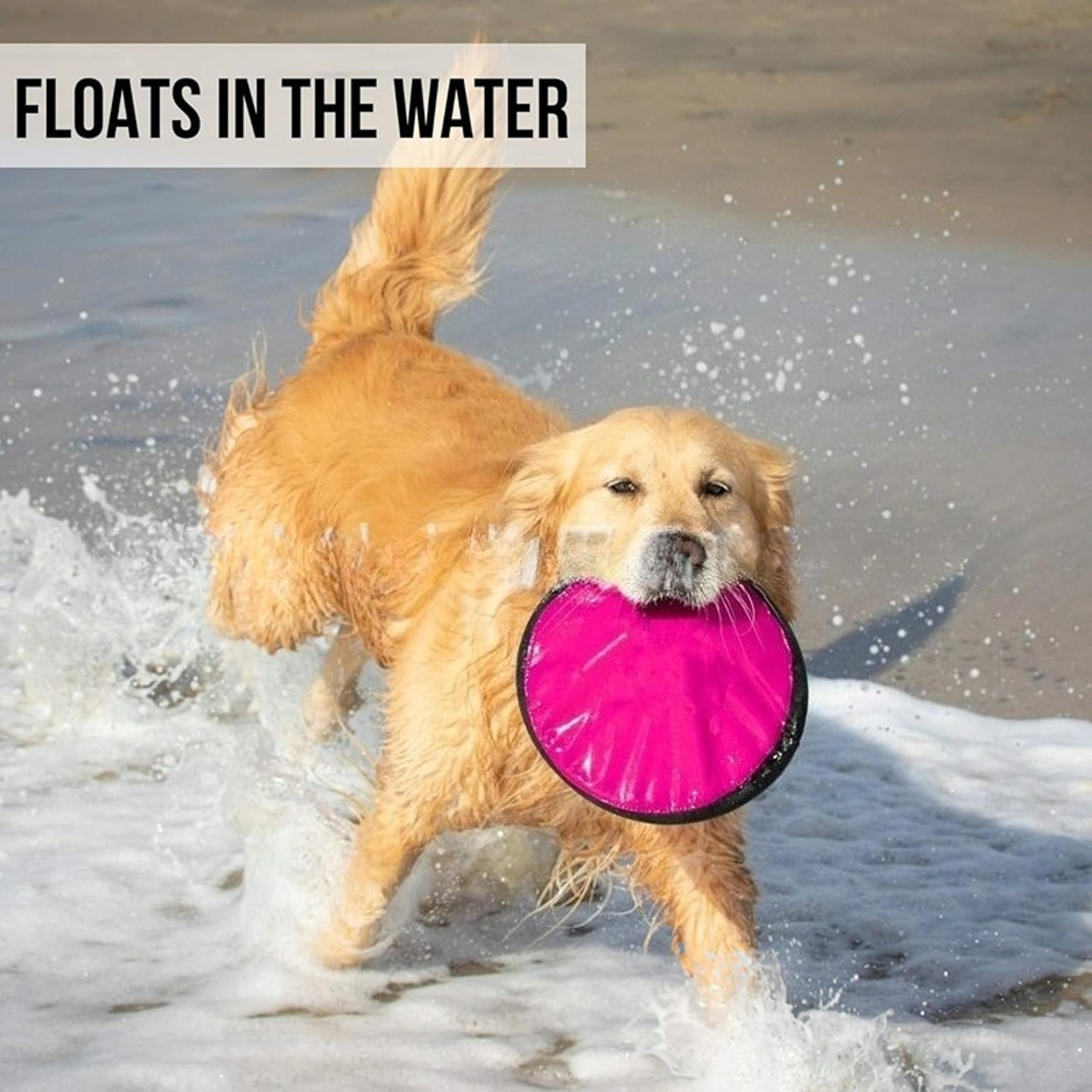 Portable Dog Training Flying Disc Breathable  Easy To Clean Interactive Training Toy For Pets 1