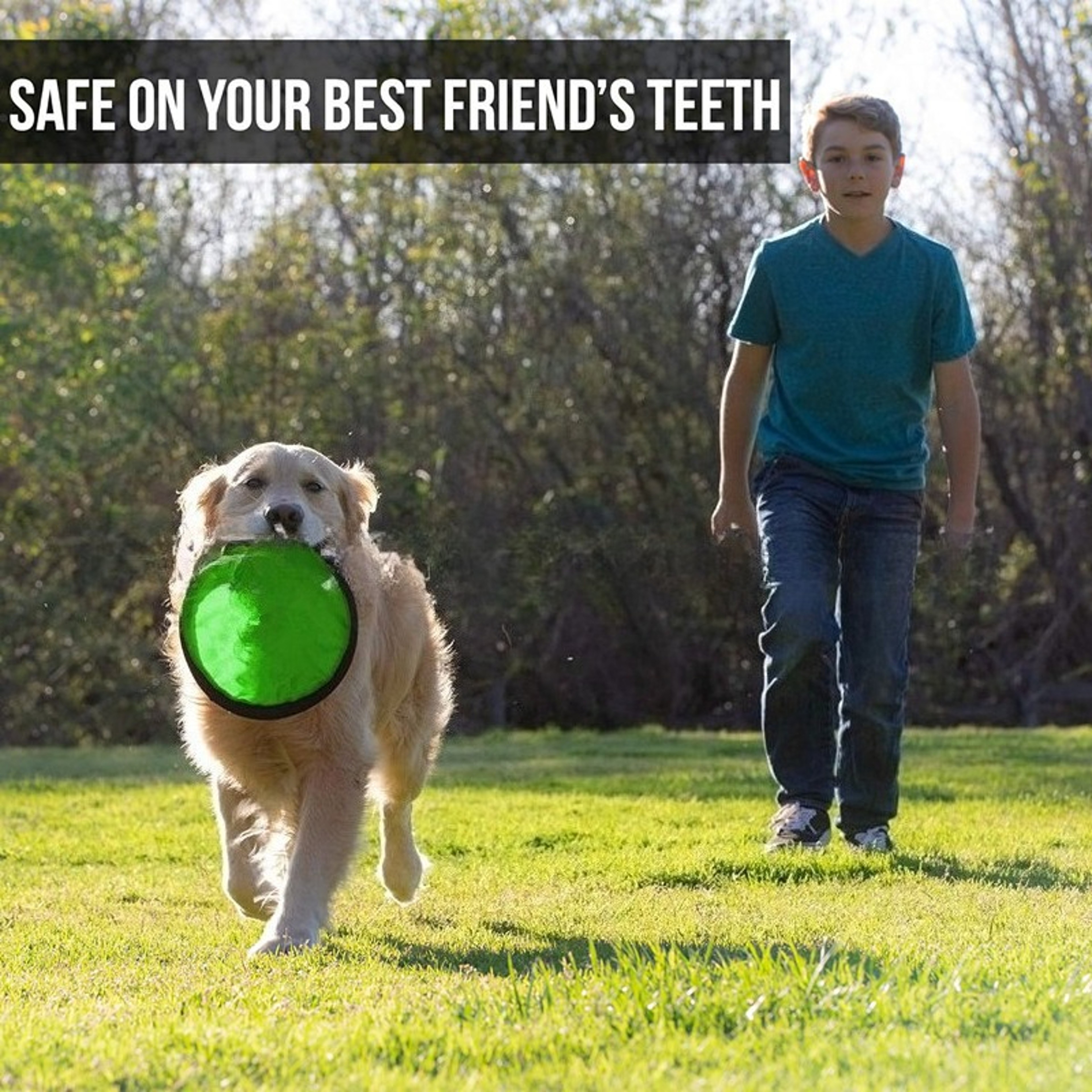 Portable Dog Training Flying Disc Breathable  Easy To Clean Interactive Training Toy For Pets 2